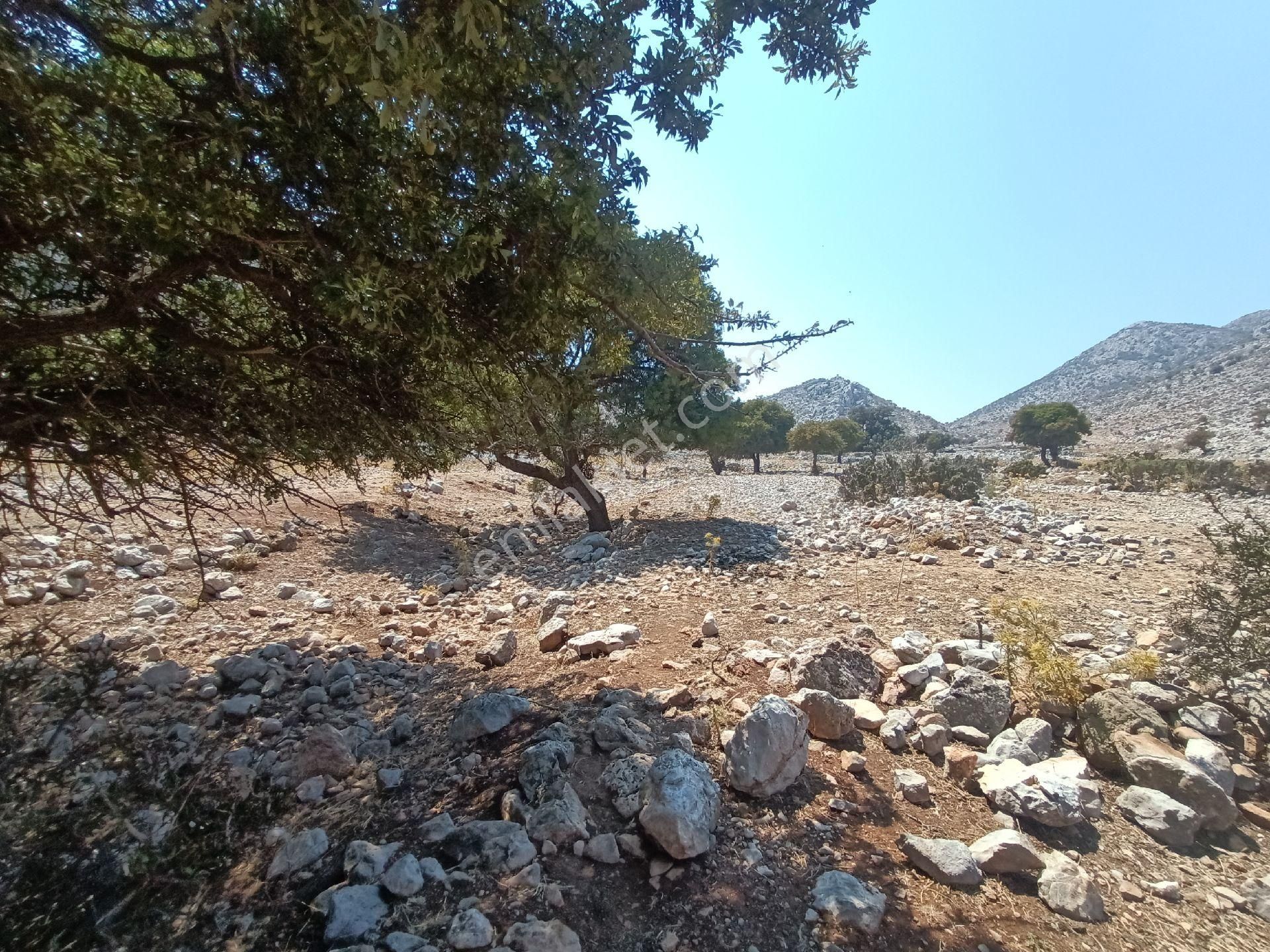 Joker: Denize 900 Metre Resmi Yol Cephe Yüksek M2 Satılık Tarla - Görsel 30