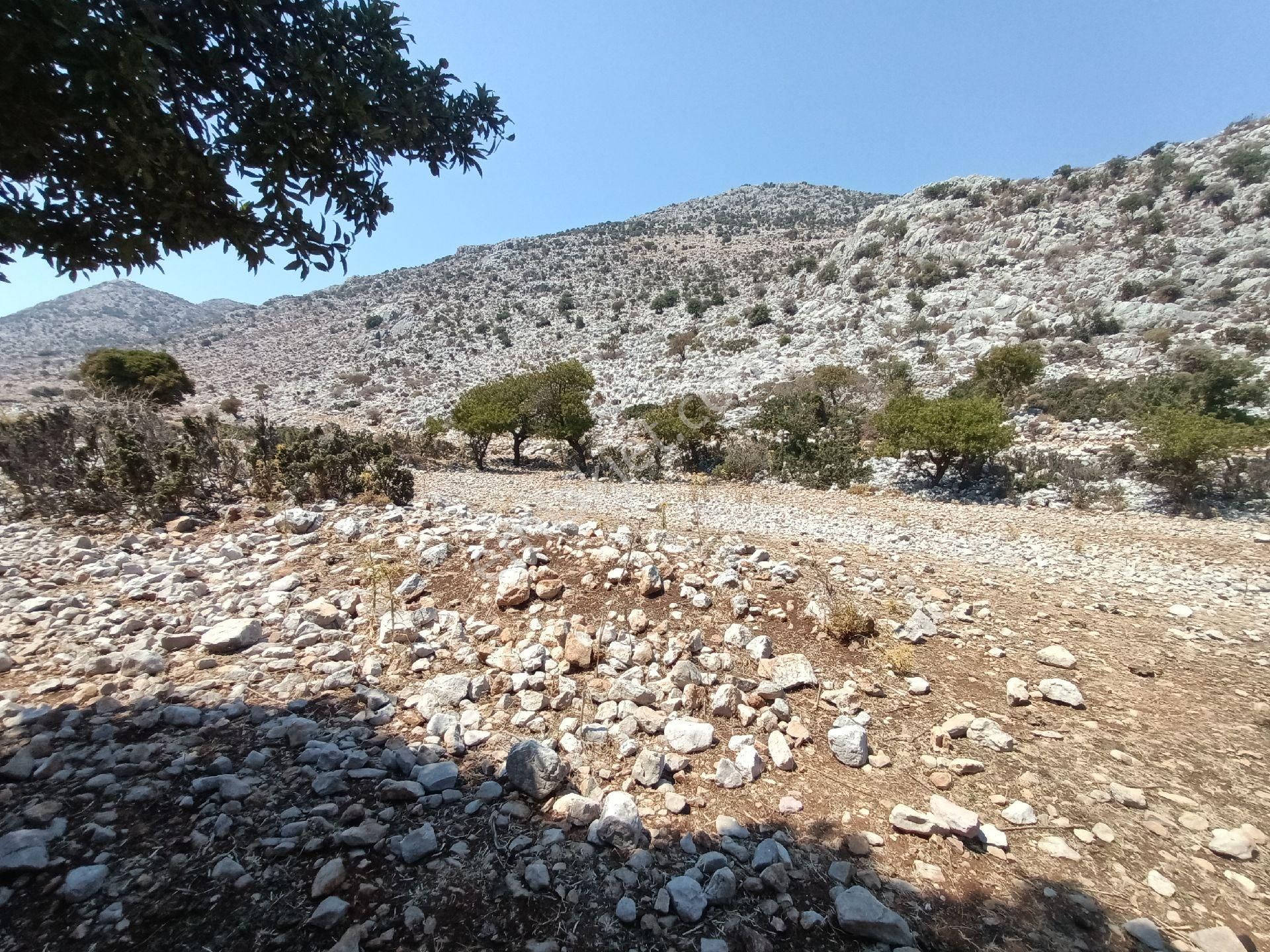 Joker: Denize 900 Metre Resmi Yol Cephe Yüksek M2 Satılık Tarla - Görsel 24