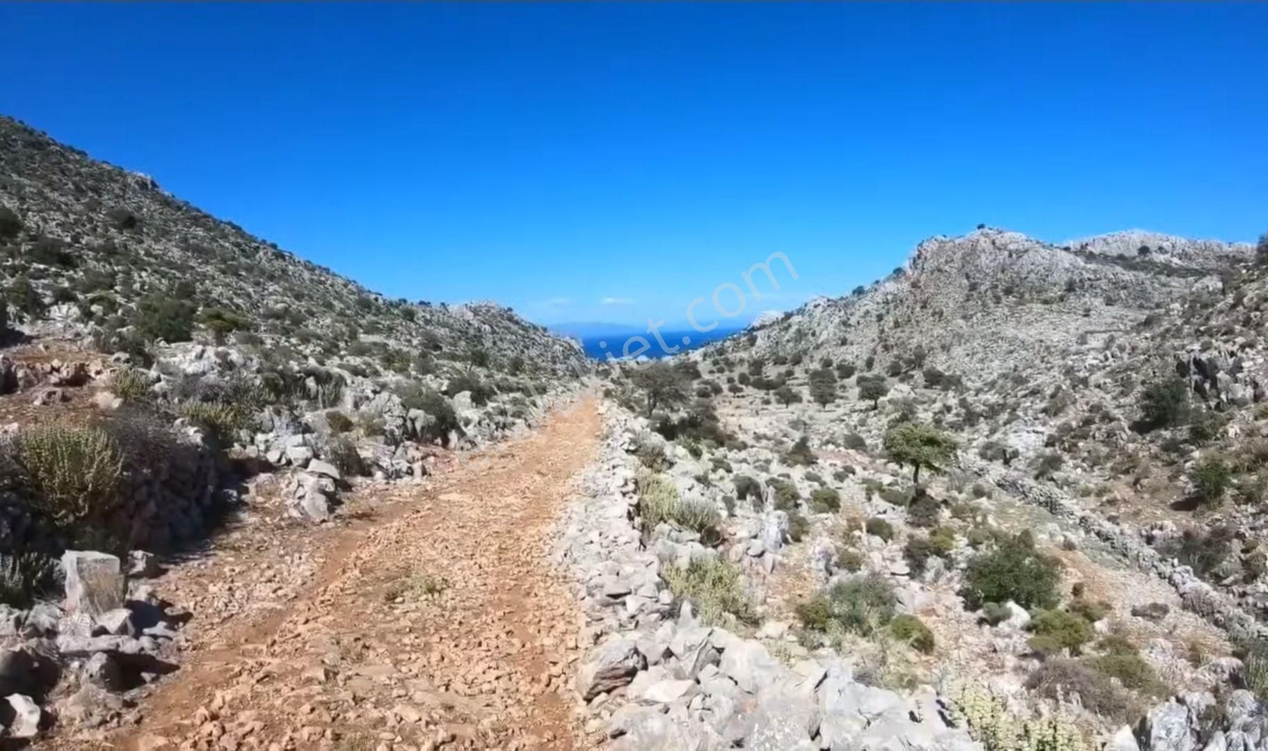 Joker: Denize 900 Metre Resmi Yol Cephe Yüksek M2 Satılık Tarla - Görsel 6