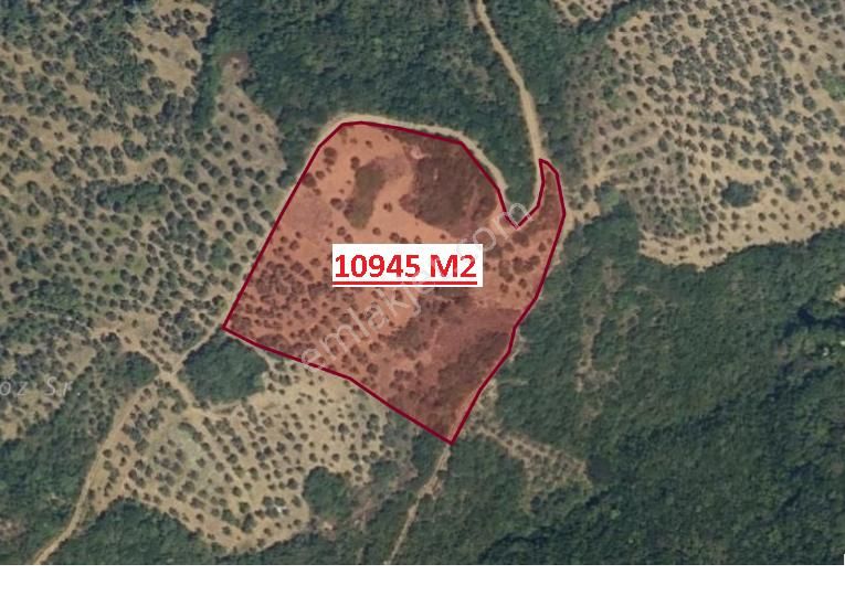 Fırsat Arazi Mudanya, Kumyaka'da Kadastro Yoluna Cephe