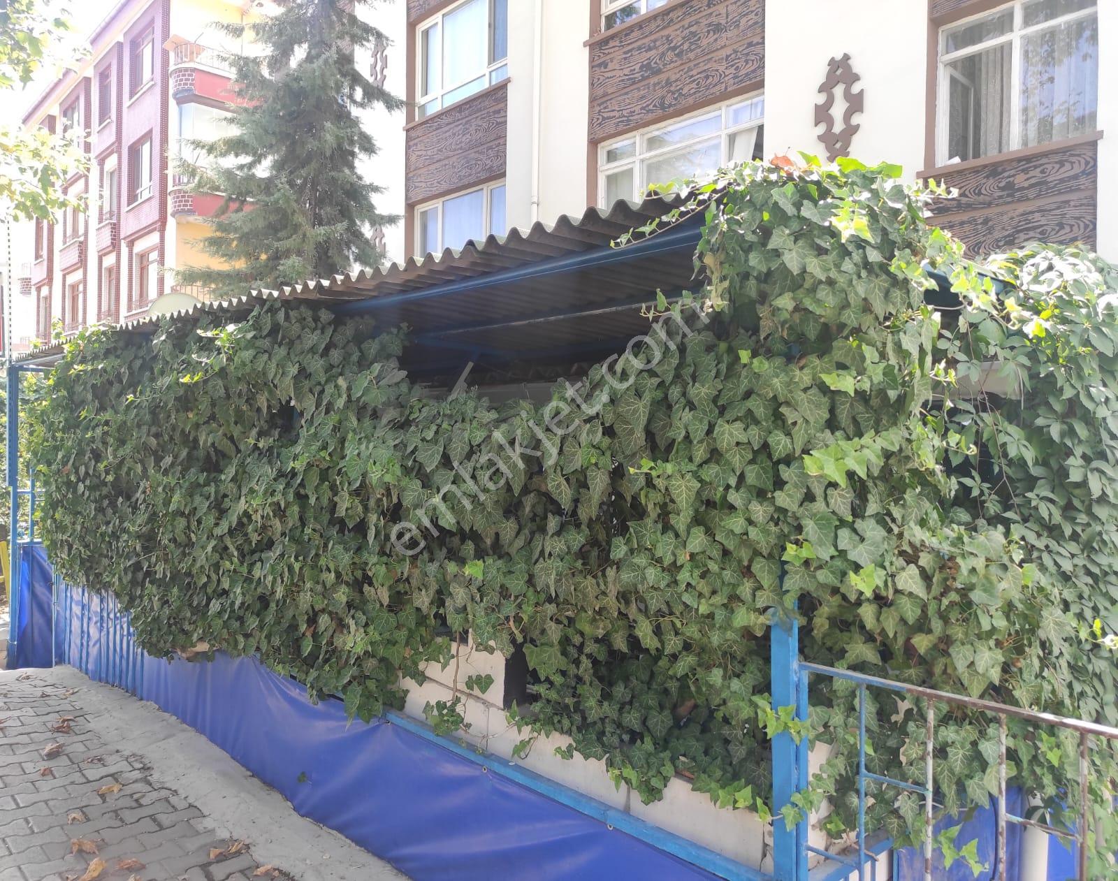 İskitlerde Cadde Üstü Satılık Dükkan - Görsel 3