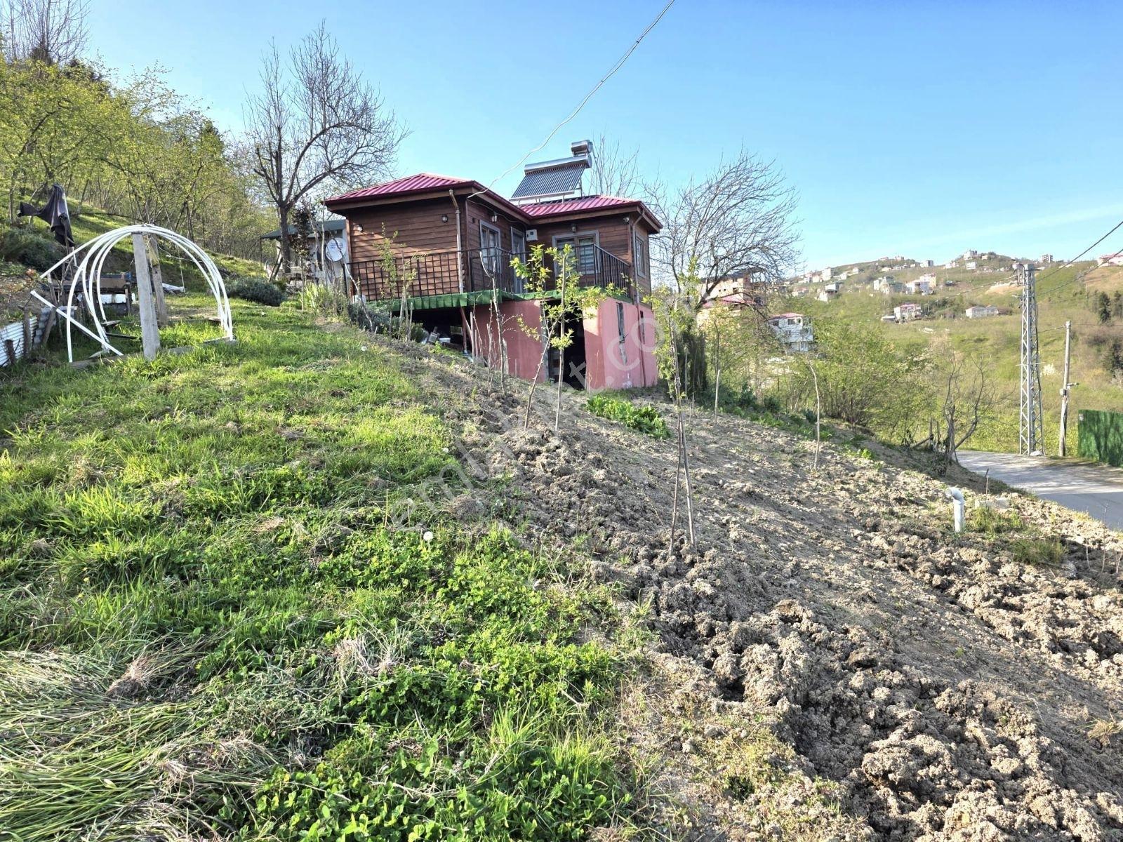 Acil Satılık Tos Köy/ Karlık Ahşap Tasarımlı Çelik Ev Ve Arsa - Görsel 31