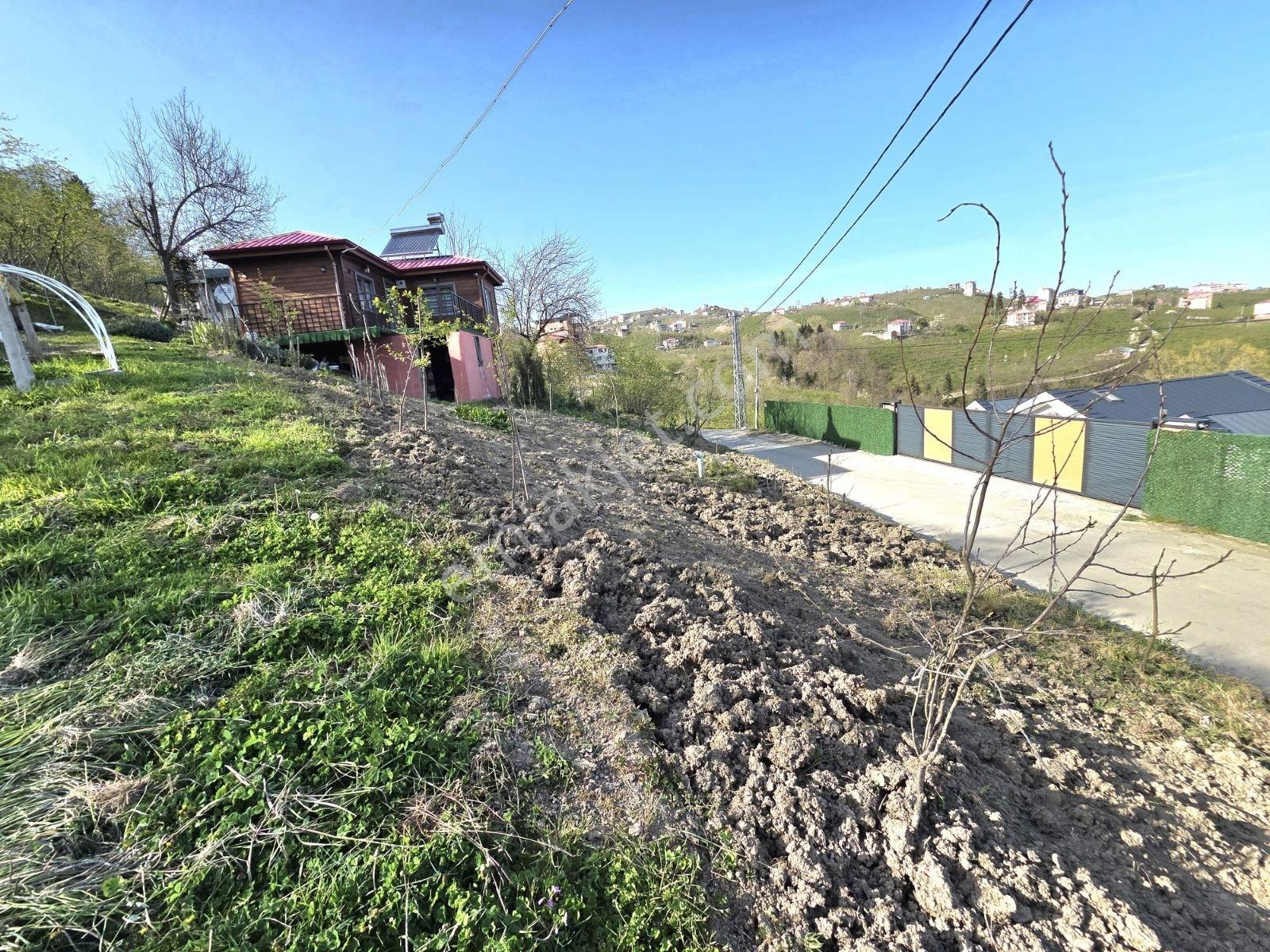 Acil Satılık Tos Köy/ Karlık Ahşap Tasarımlı Çelik Ev Ve Arsa - Görsel 9
