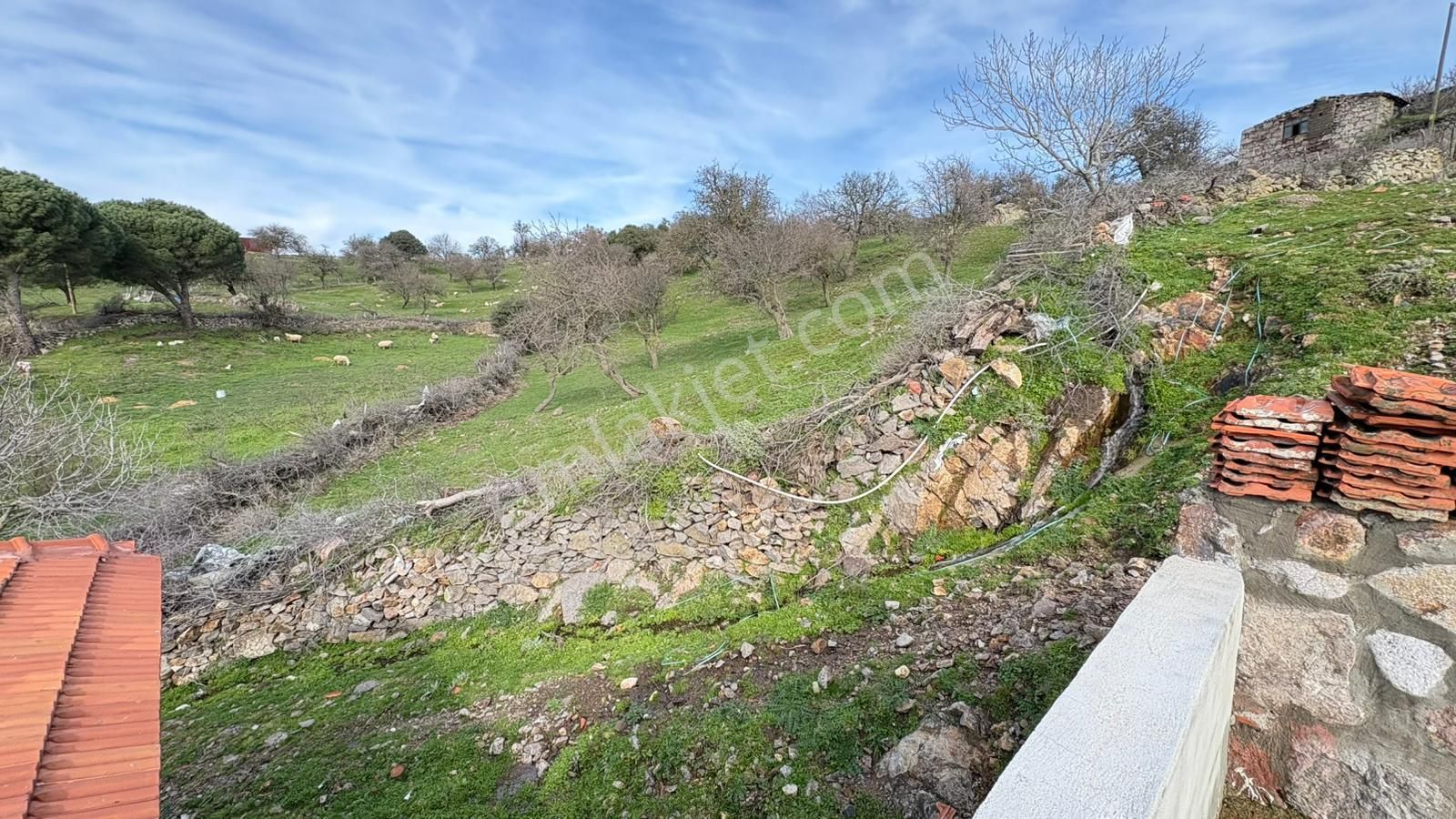 Çanakkale Ayvacık Ahmetler'de Müstakil Taş Ev - Görsel 10