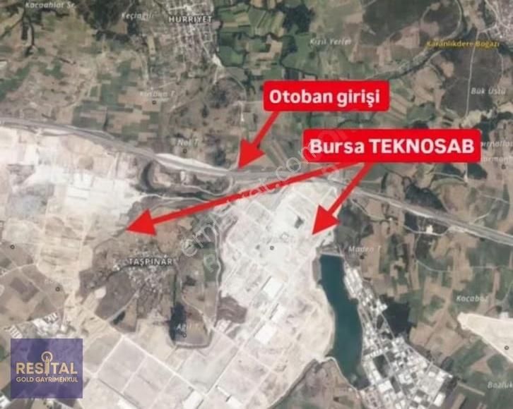 Teknosaba Yakın Mudanya Çayönünde Kadastro Yollu Arazi