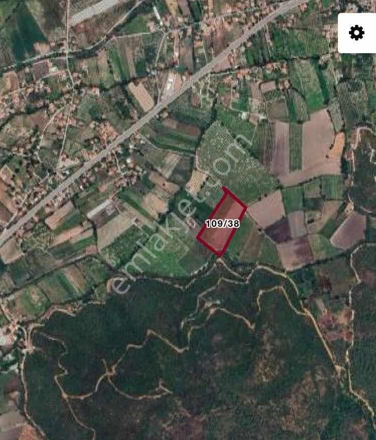 Ortaca'da Satılık Tarla
