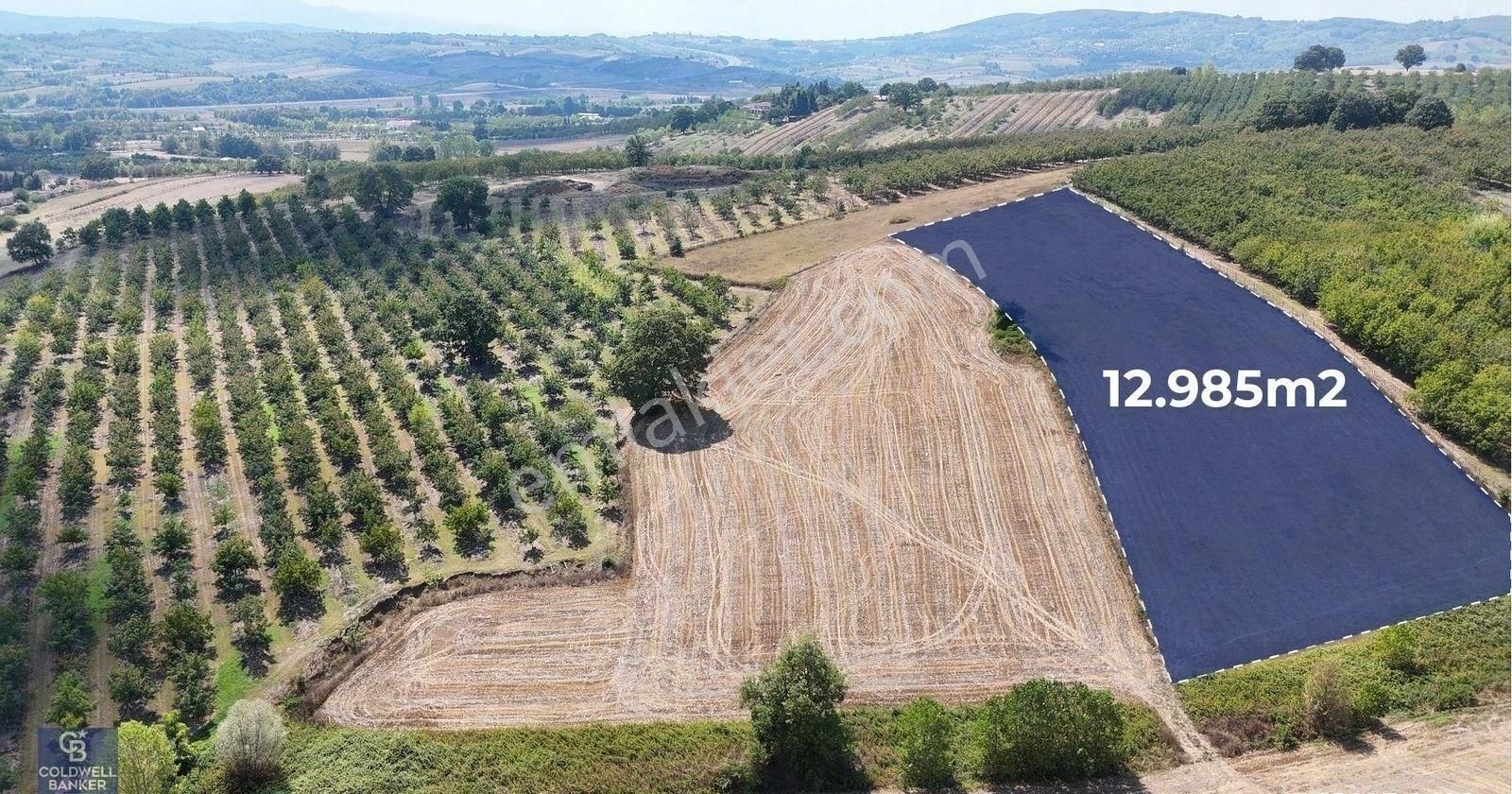 Kocaeli Akmeşe Cumhuriyet Mah. Satılık 12.984 M2 Müstakil Arazi - Görsel 12