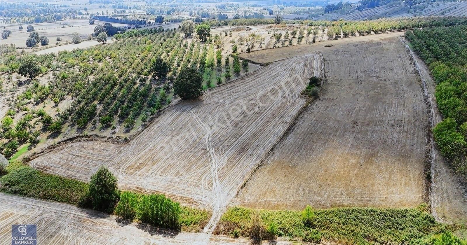 Kocaeli Akmeşe Cumhuriyet Mah. Satılık 12.984 M2 Müstakil Arazi - Görsel 16