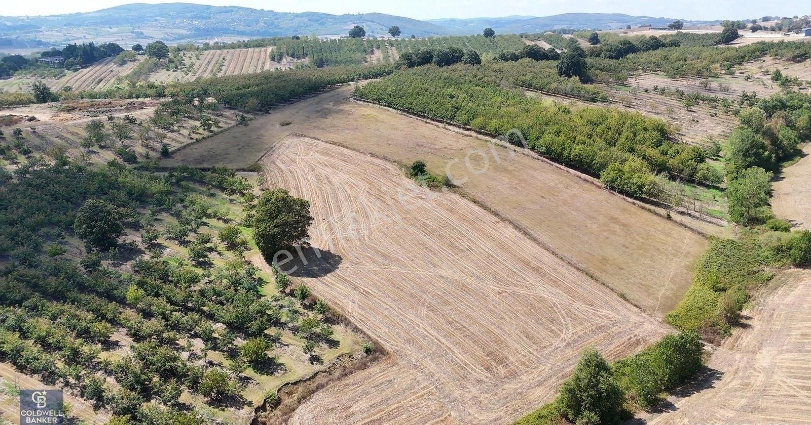 Kocaeli Akmeşe Cumhuriyet Mah. Satılık 12.984 M2 Müstakil Arazi - Görsel 11