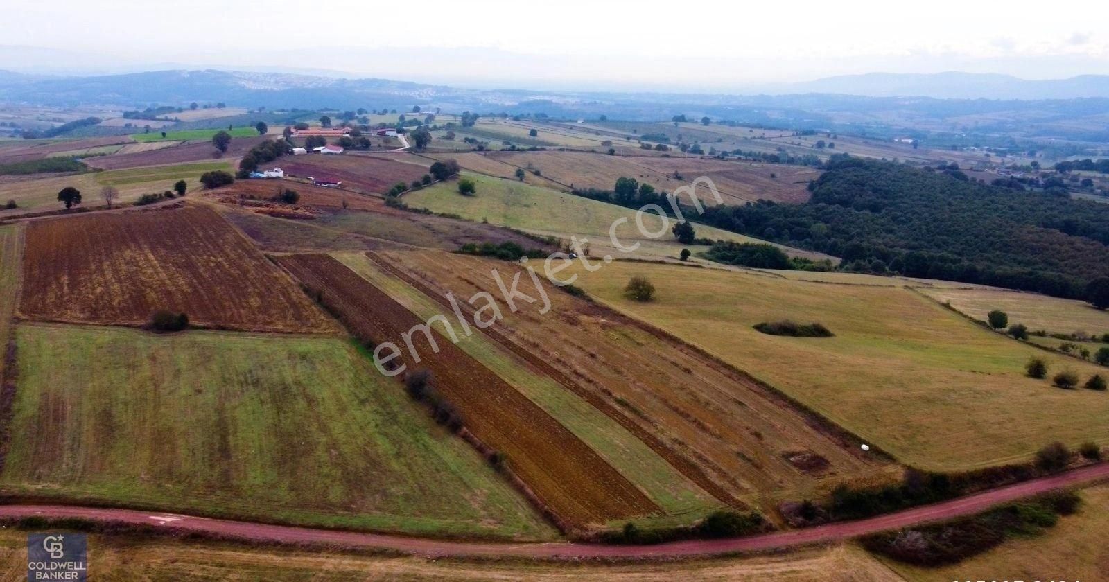 İzmit Akmeşe Satılık 21.982 M2 Resmi Yola Cephe Değerli Arazi - Görsel 6