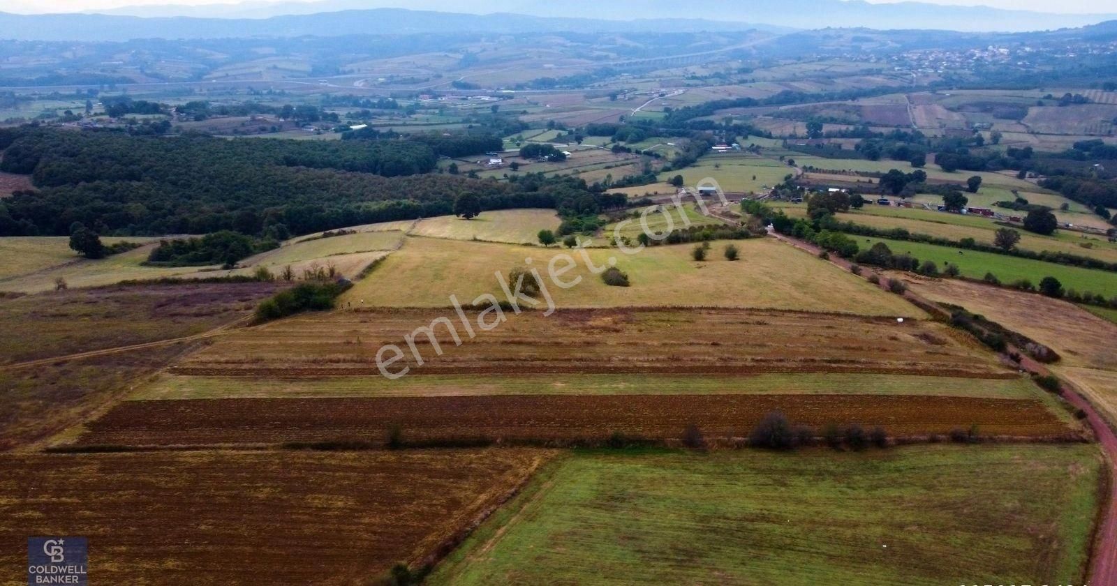 İzmit Akmeşe Satılık 21.982 M2 Resmi Yola Cephe Değerli Arazi - Görsel 17