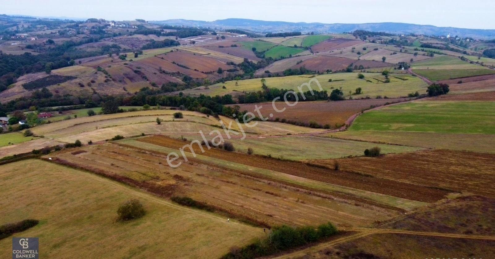 İzmit Akmeşe Satılık 21.982 M2 Resmi Yola Cephe Değerli Arazi - Görsel 8