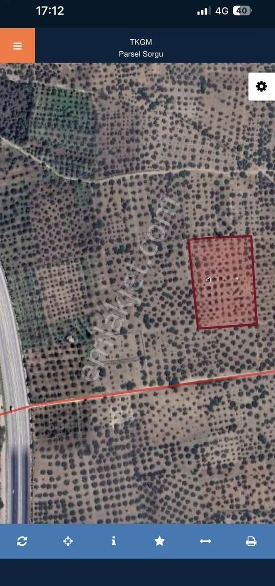 Kırkağaç Öveçlide Satılık 9.5 Dönüm Zeytinlik