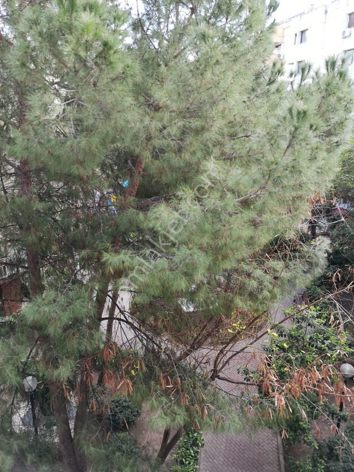 Alsancak Spor Salonu Trt Sağlık Hastane Kızılkanat Sit 2+1 Daire - Görsel 19