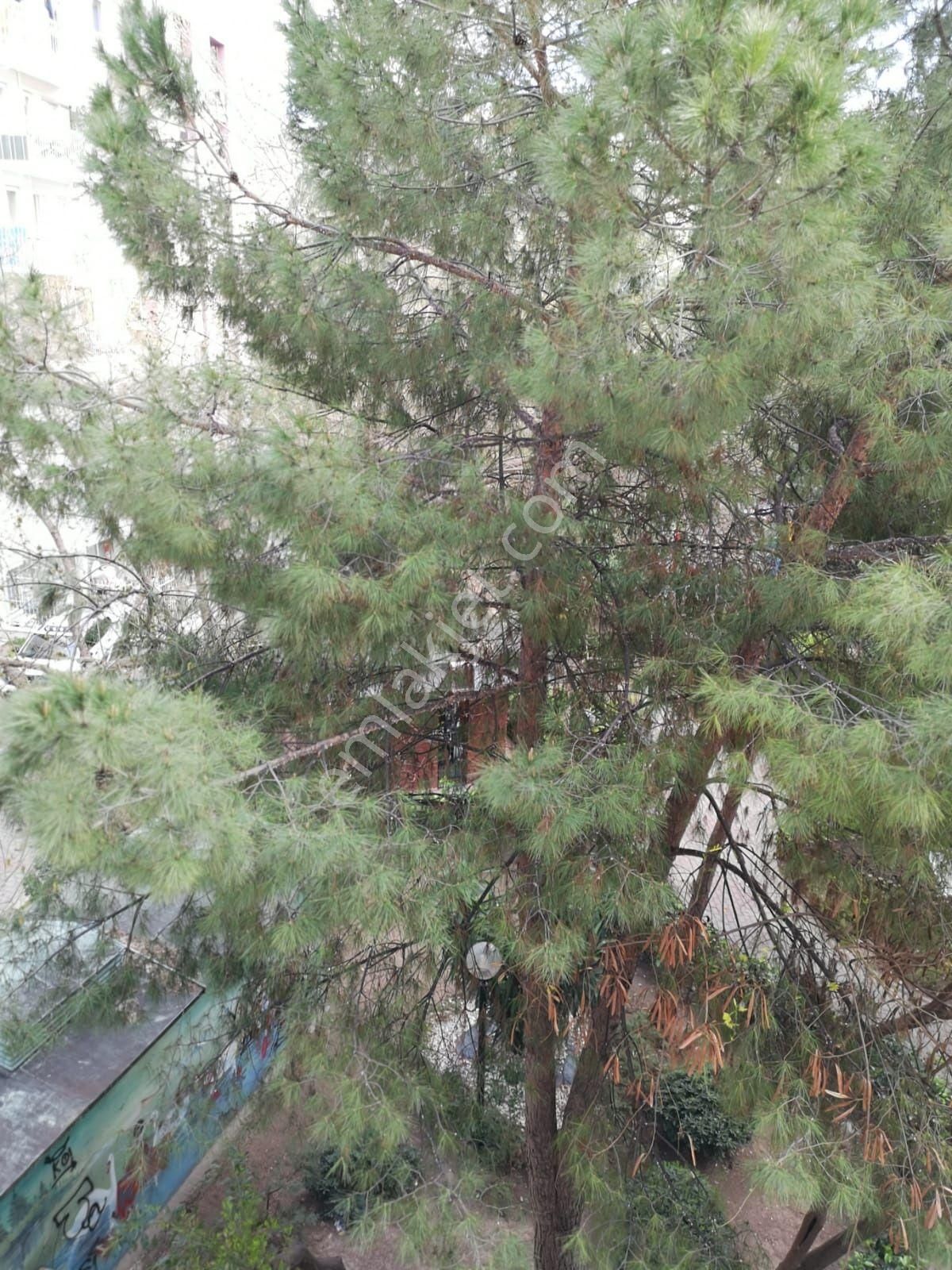 Alsancak Spor Salonu Trt Sağlık Hastane Kızılkanat Sit 2+1 Daire - Görsel 20