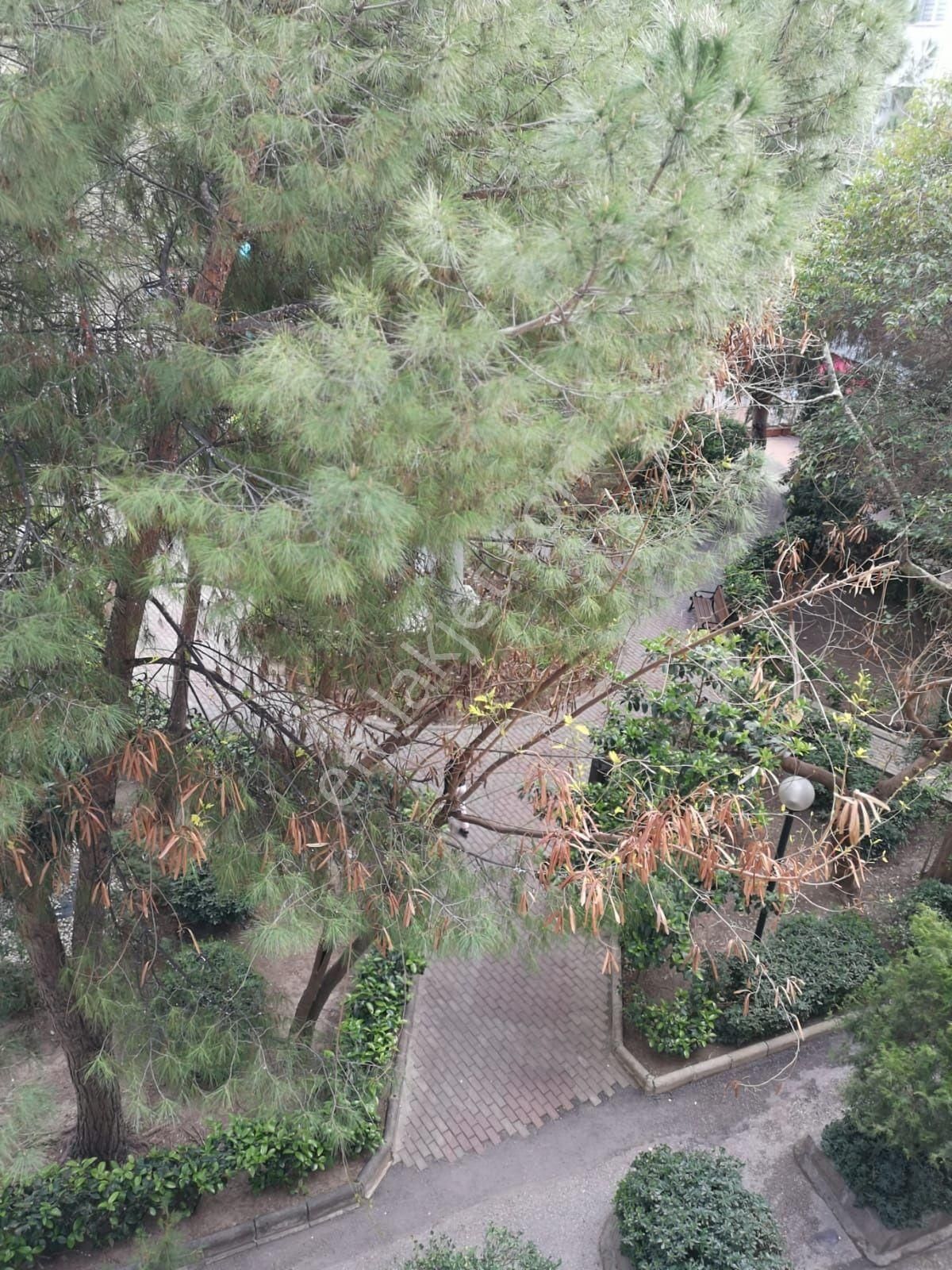 Alsancak Spor Salonu Trt Sağlık Hastane Kızılkanat Sit 2+1 Daire - Görsel 17