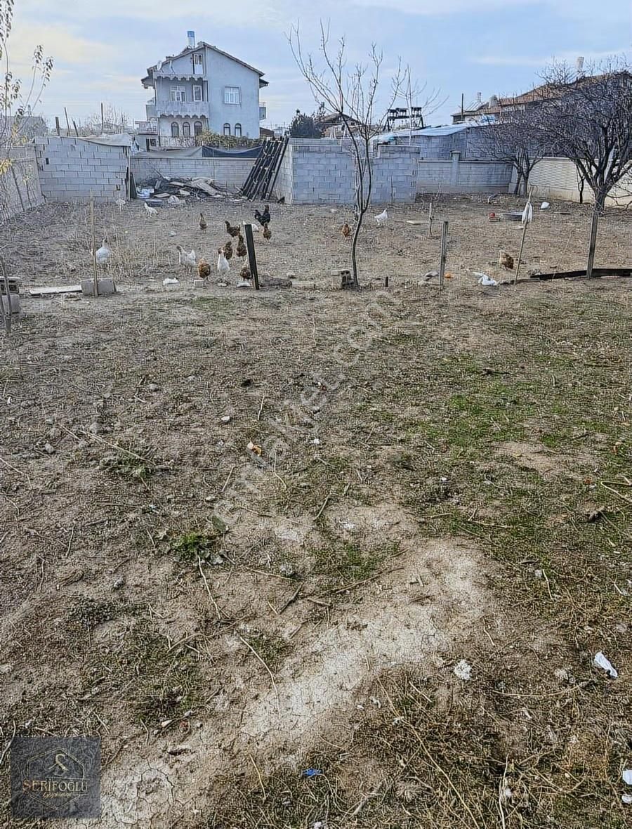 Şerifoğlu Emlak'tan 3+1 Müstakil Tadında İskanlı Daire - Görsel 6