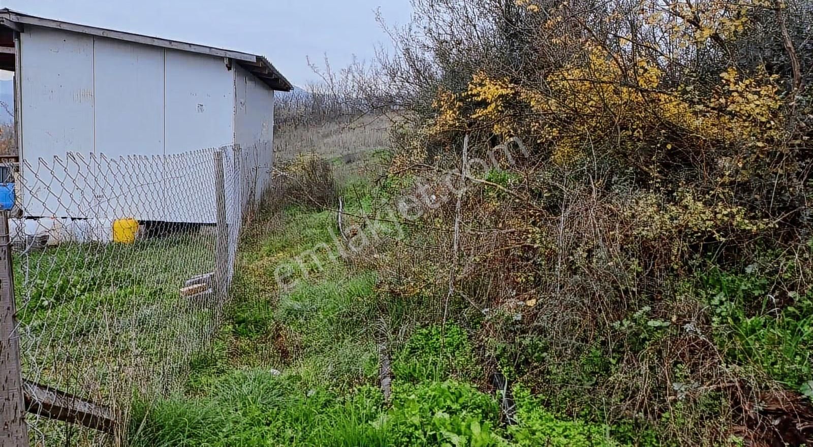 283 Metre Satılık Bahçe - Görsel 7