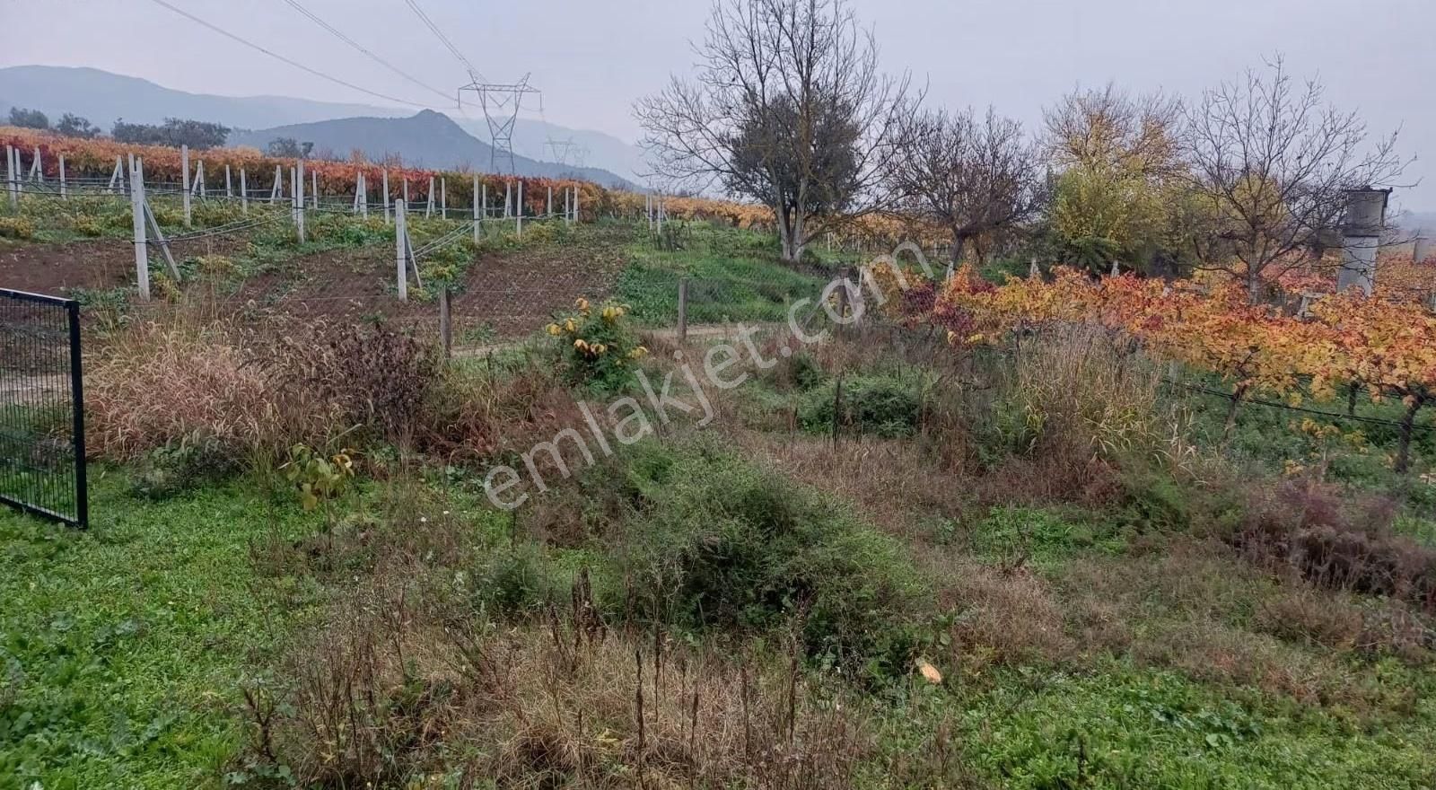 283 Metre Satılık Bahçe - Görsel 9