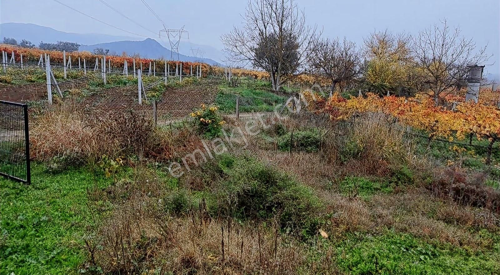 283 Metre Satılık Bahçe - Görsel 4