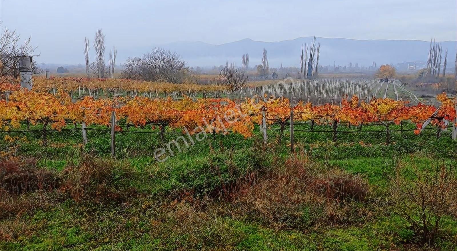 283 Metre Satılık Bahçe - Görsel 2