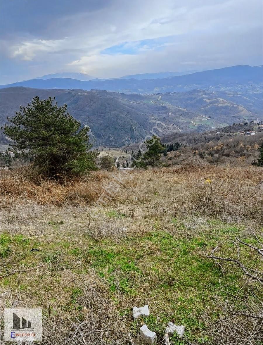 Gölcük Hamidiyede Satılık Arazi - Görsel 6