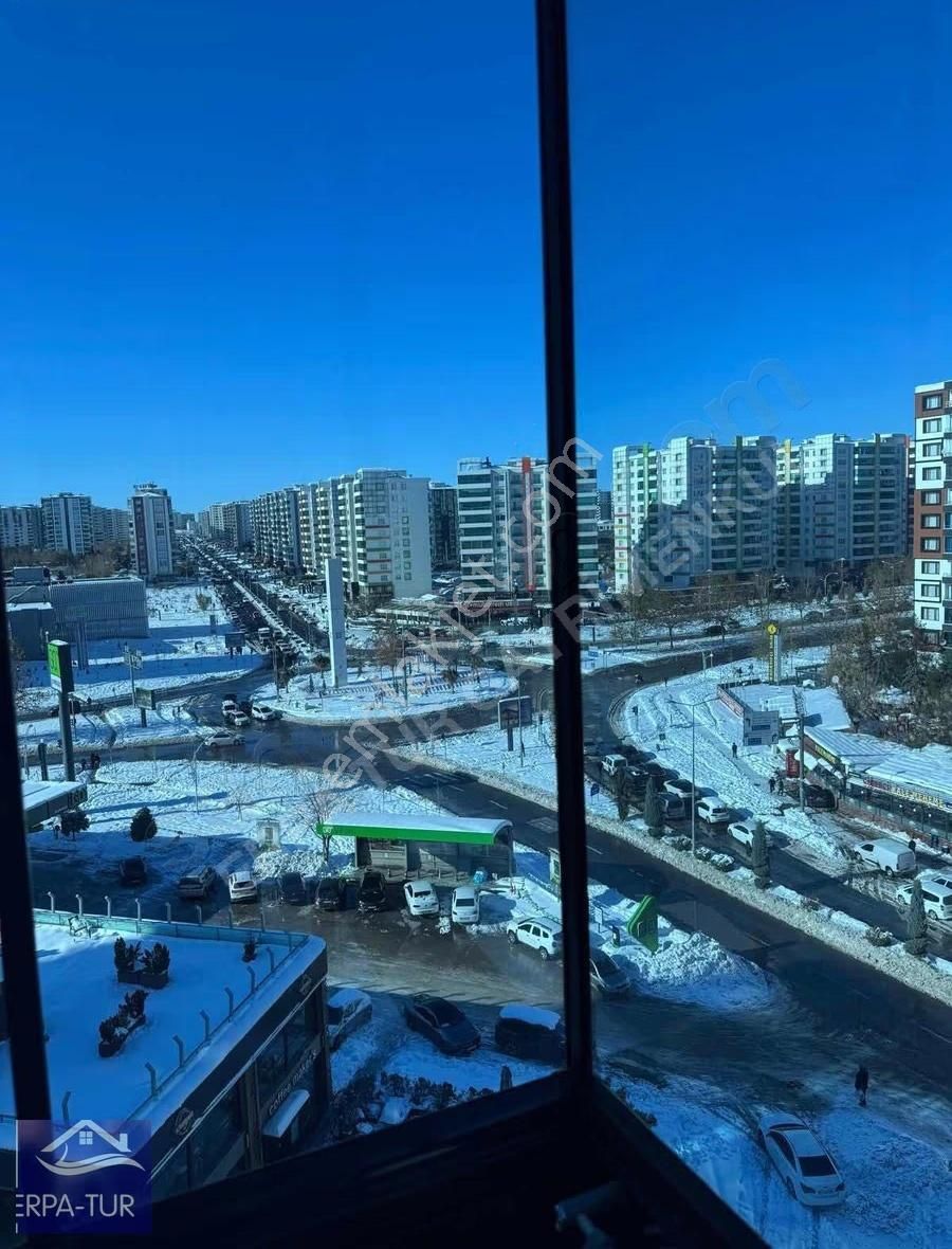 75'in Gözdesi Tepe Mşa Piyasanın En Uygunu ! - Görsel 4