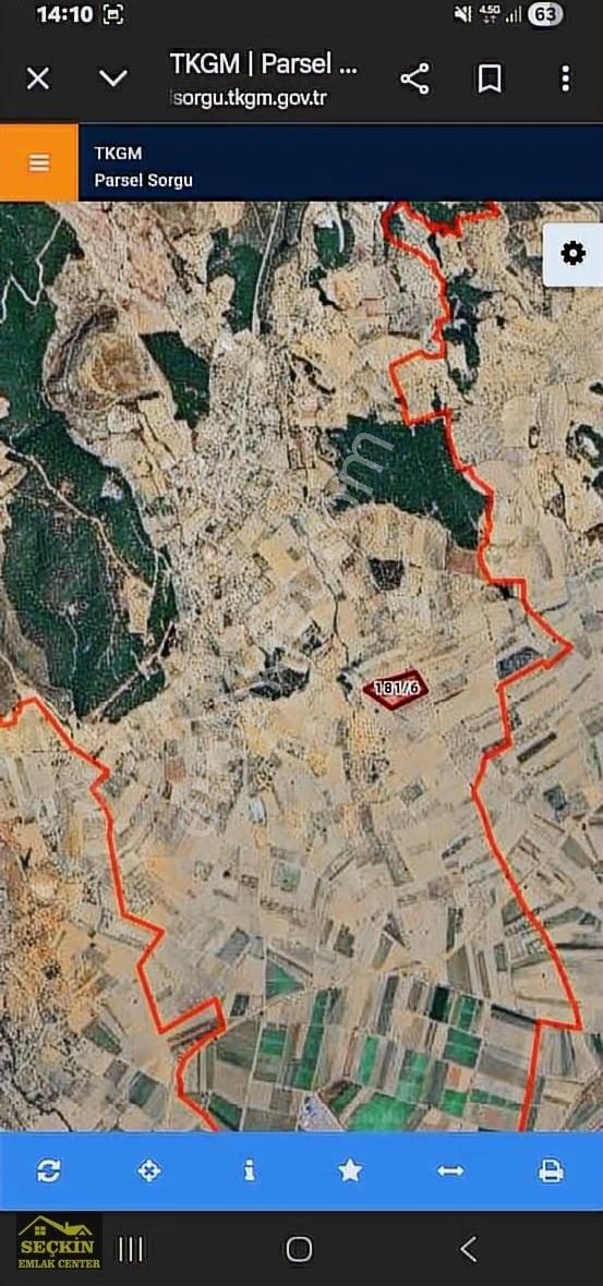 Satılık Zeytinlik 1352 Metrekare - Görsel 3