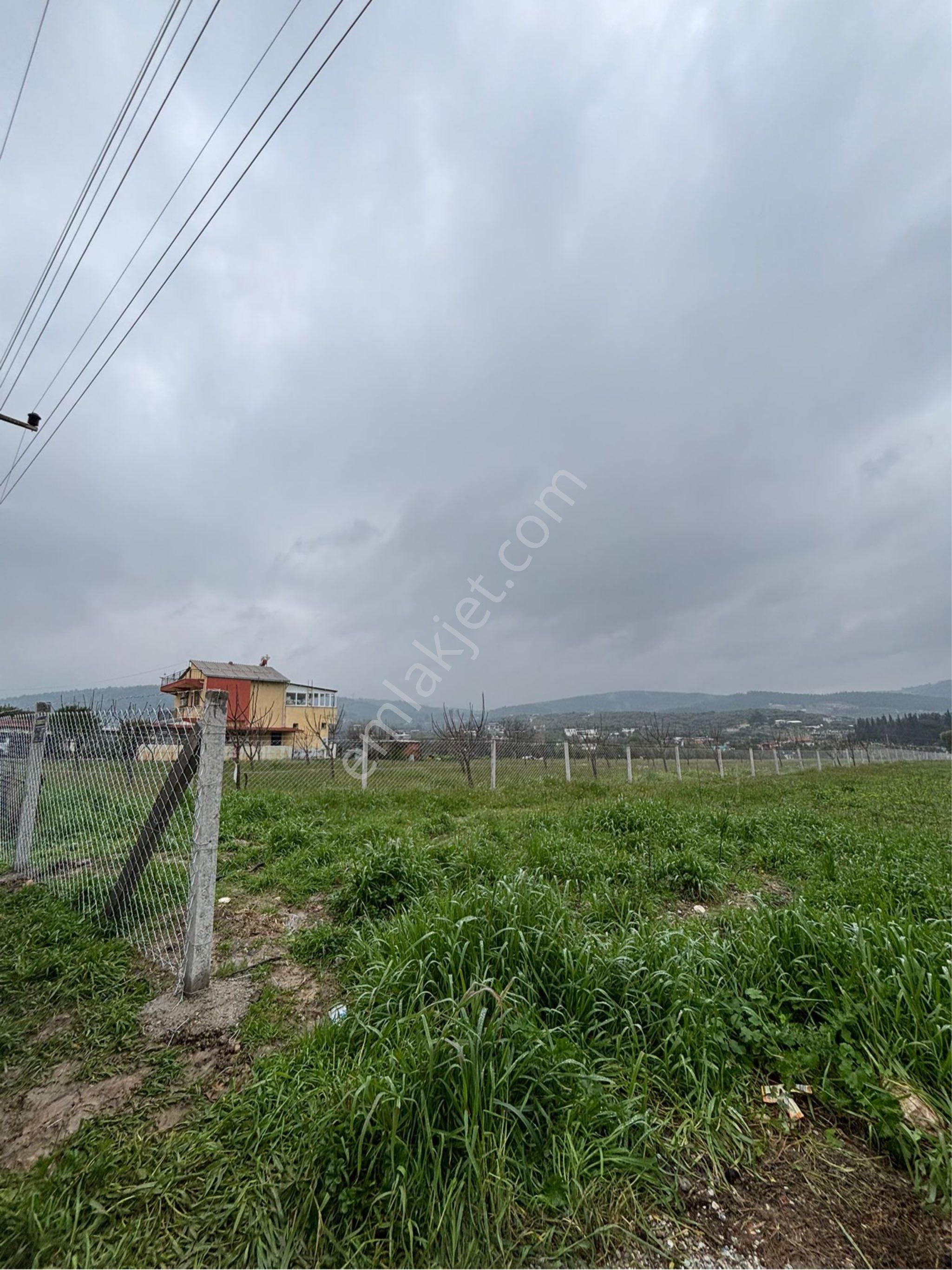 İzmir Torbalı Bozköy'de Köy İçi Asfalt Yola Cepheli 2250m2 Kuyusu Olan Satılık Bağ Bahçe Zeytinlik - Görsel 35