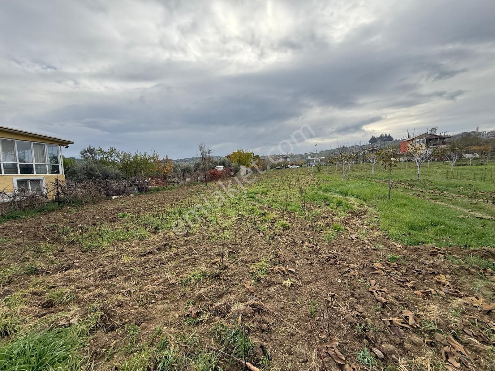 İzmir Torbalı Bozköy'de Köy İçi Asfalt Yola Cepheli 2250m2 Kuyusu Olan Satılık Bağ Bahçe Zeytinlik - Görsel 17