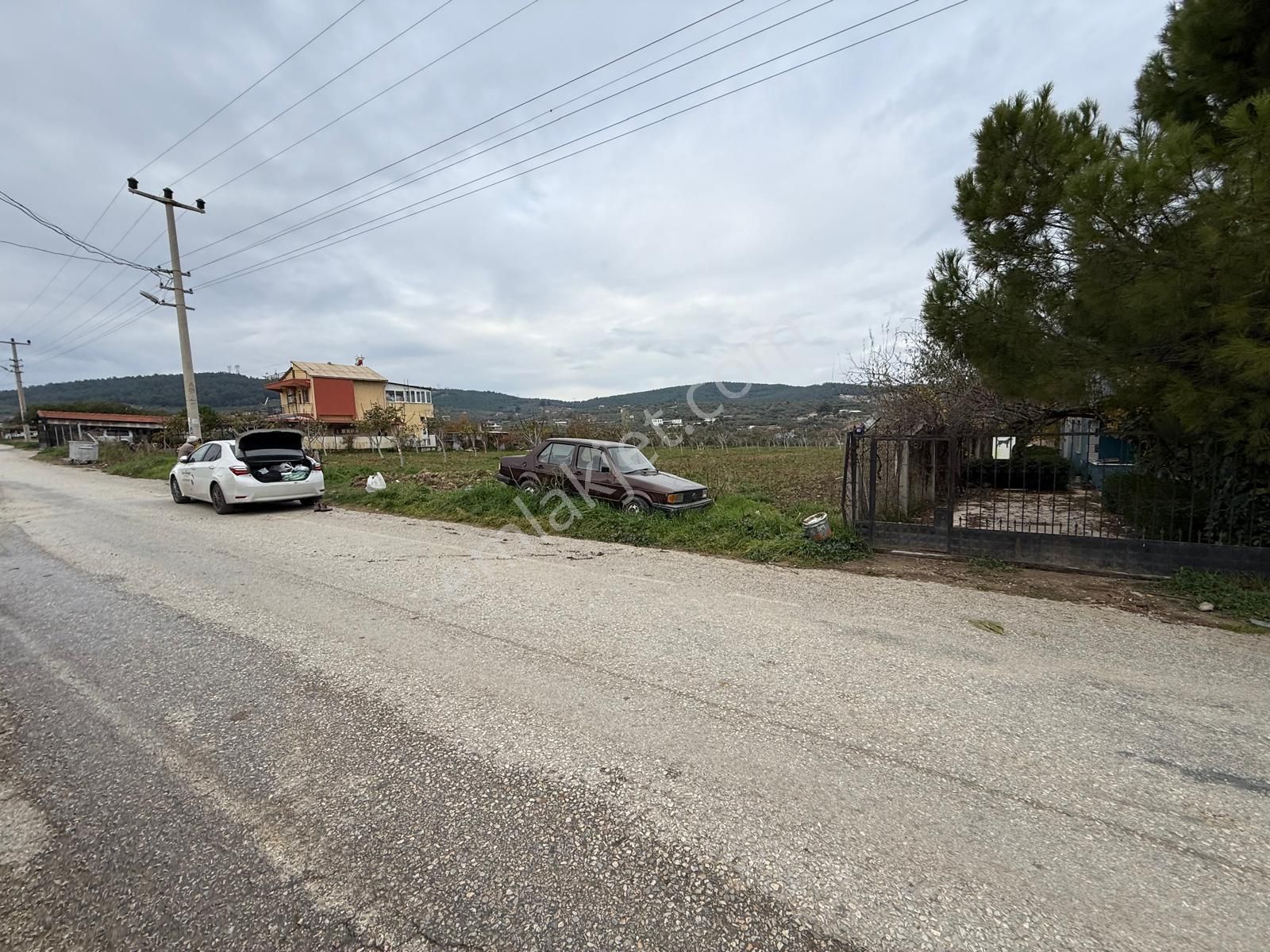 İzmir Torbalı Bozköy'de Köy İçi Asfalt Yola Cepheli 2250m2 Kuyusu Olan Satılık Bağ Bahçe Zeytinlik - Görsel 5