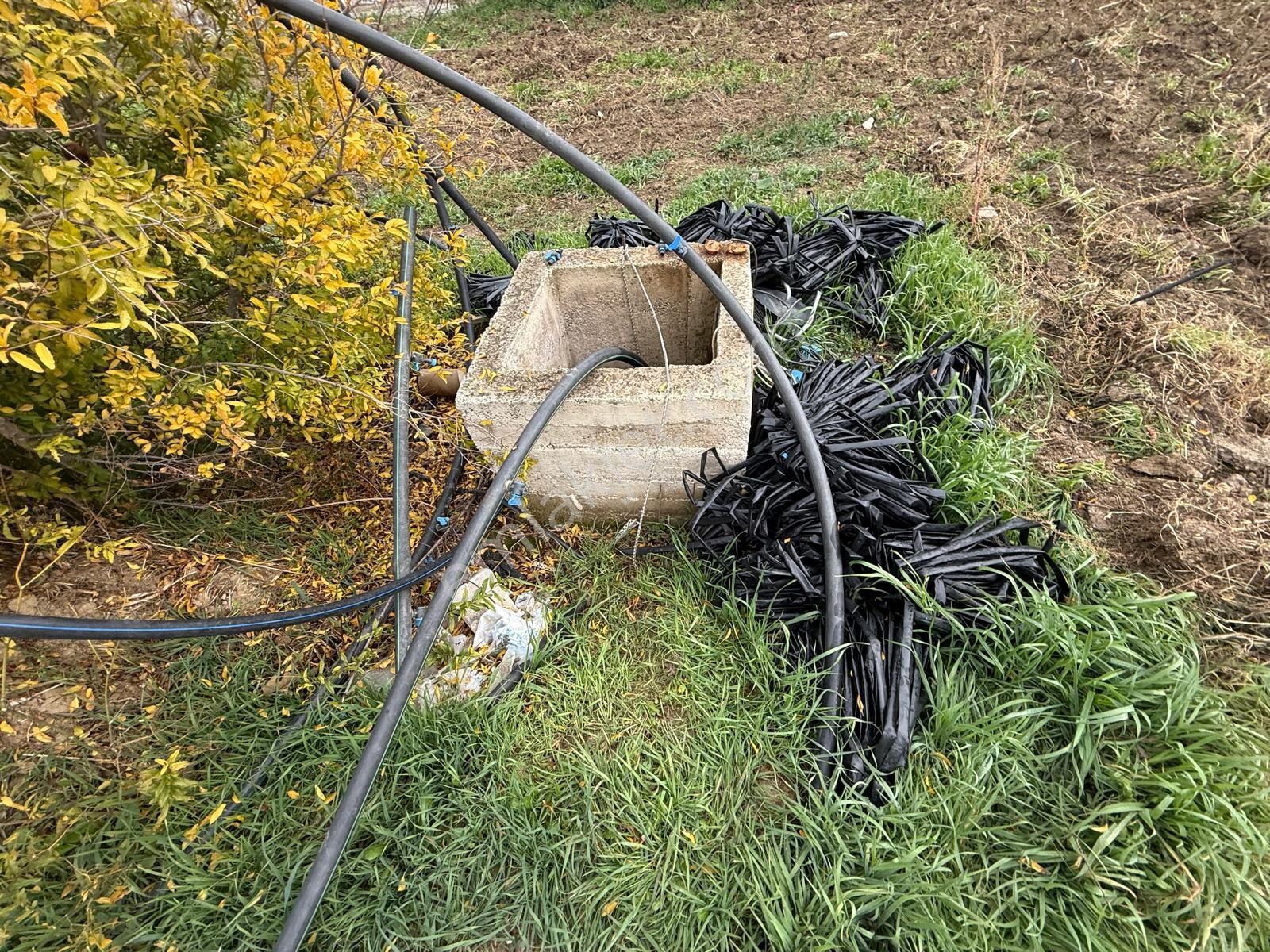 İzmir Torbalı Bozköy'de Köy İçi Asfalt Yola Cepheli 2250m2 Kuyusu Olan Satılık Bağ Bahçe Zeytinlik - Görsel 10