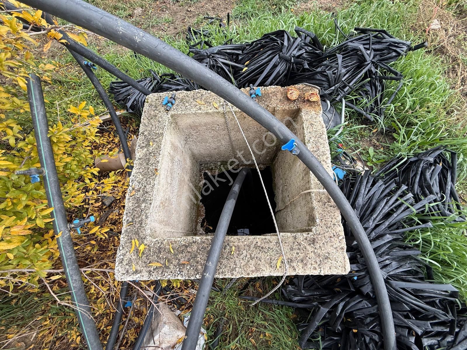 İzmir Torbalı Bozköy'de Köy İçi Asfalt Yola Cepheli 2250m2 Kuyusu Olan Satılık Bağ Bahçe Zeytinlik - Görsel 11