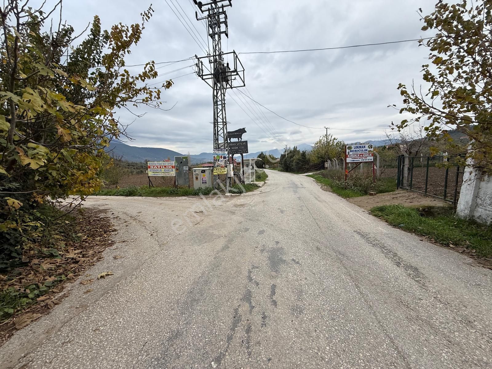 İzmir Torbalı Bozköy'de Köy İçi Asfalt Yola Cepheli 2250m2 Kuyusu Olan Satılık Bağ Bahçe Zeytinlik - Görsel 26