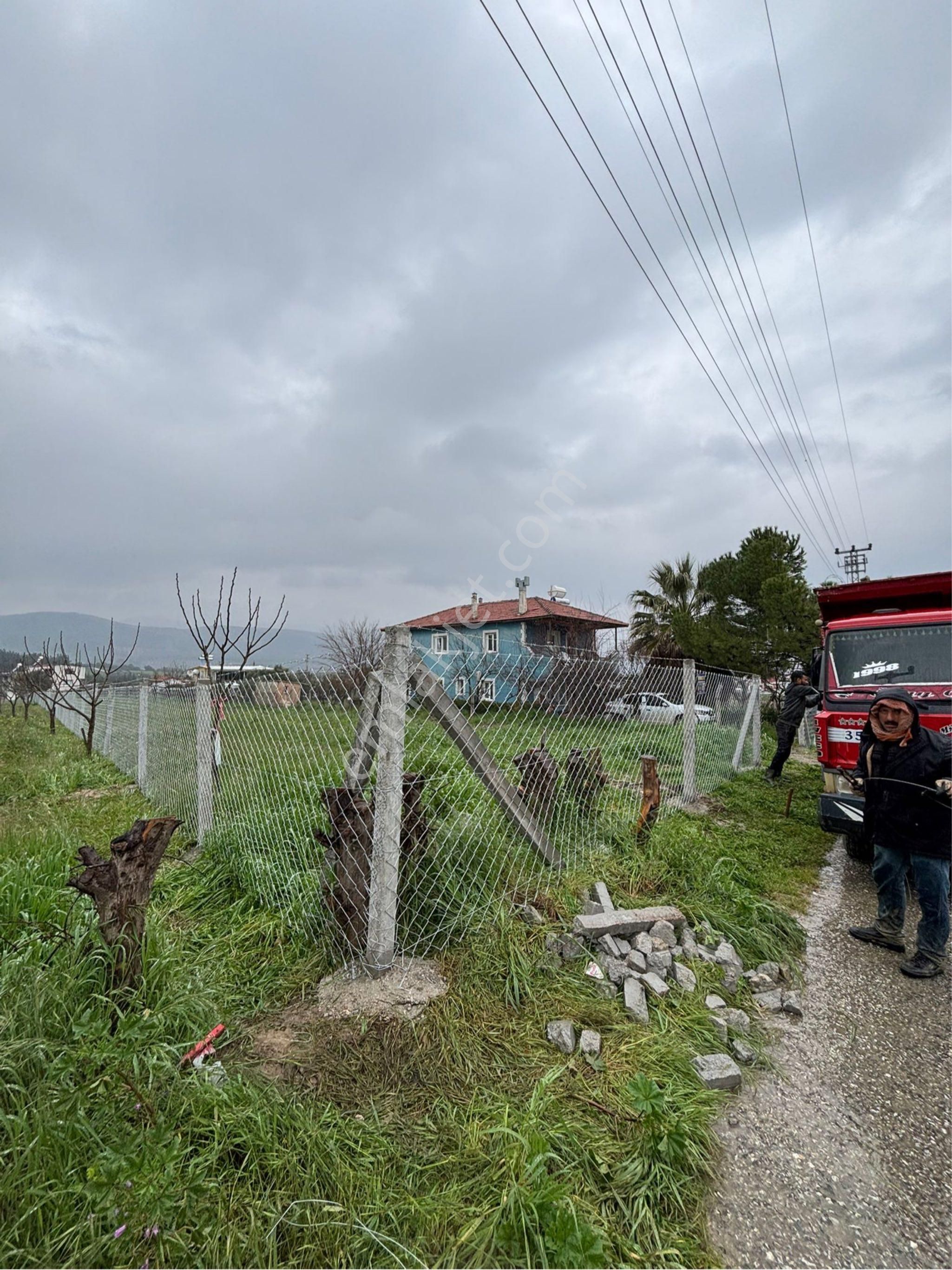 İzmir Torbalı Bozköy'de Köy İçi Asfalt Yola Cepheli 2250m2 Kuyusu Olan Satılık Bağ Bahçe Zeytinlik