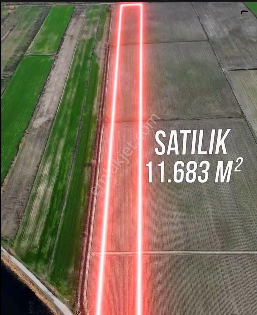 Foça Yenibağarası Gediz Deltası Yanı Satılık Tarla - Görsel 2