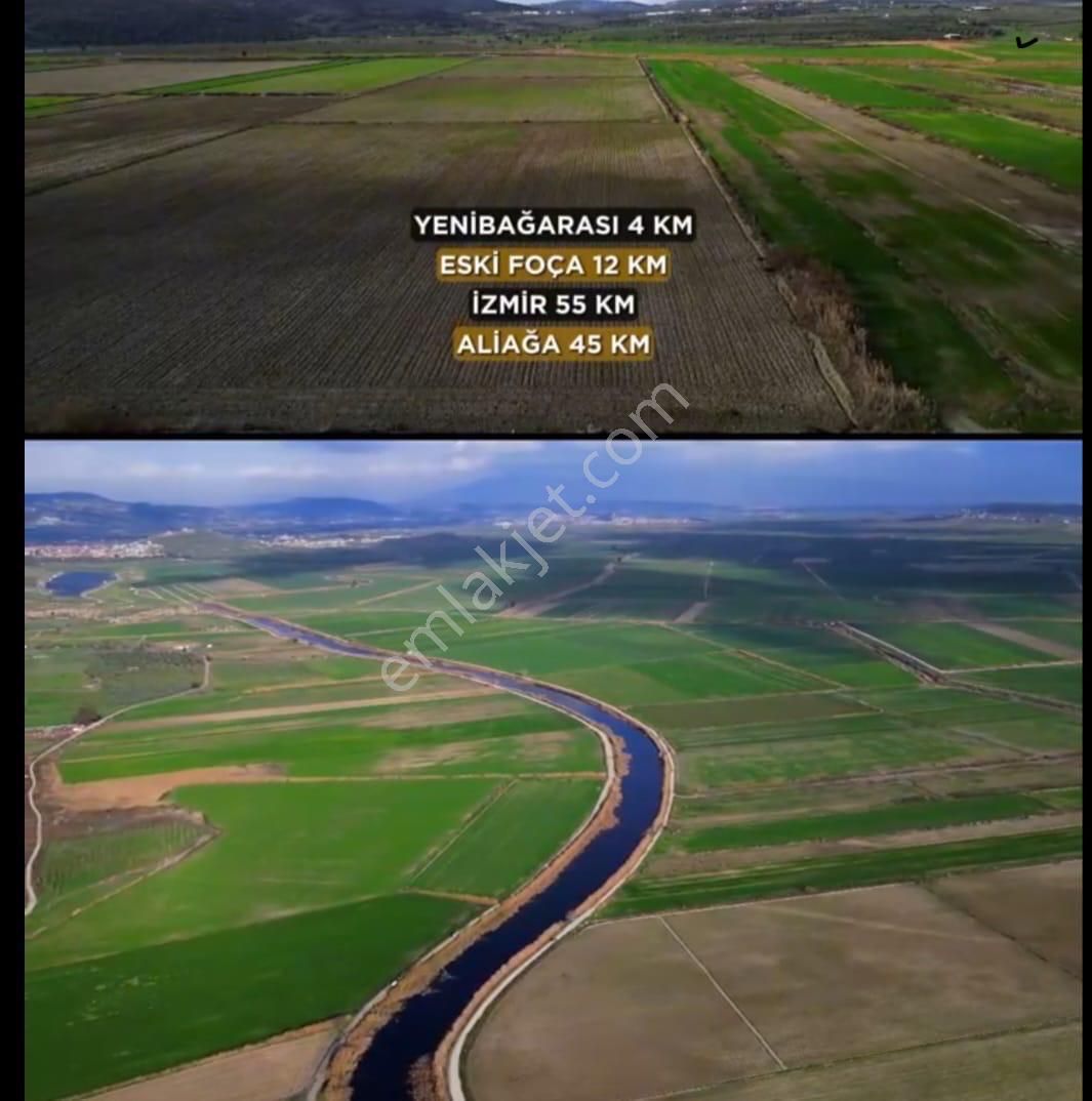 Foça Yenibağarası Gediz Deltası Yanı Satılık Tarla