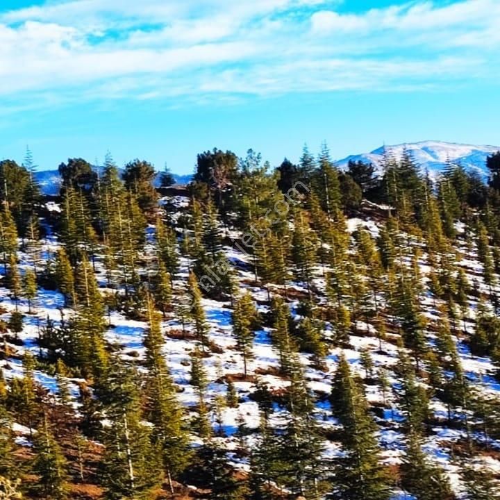 Kar Emlaktan Kamışlı Yaylasında 600m2 Satılık Arsa - Görsel 24