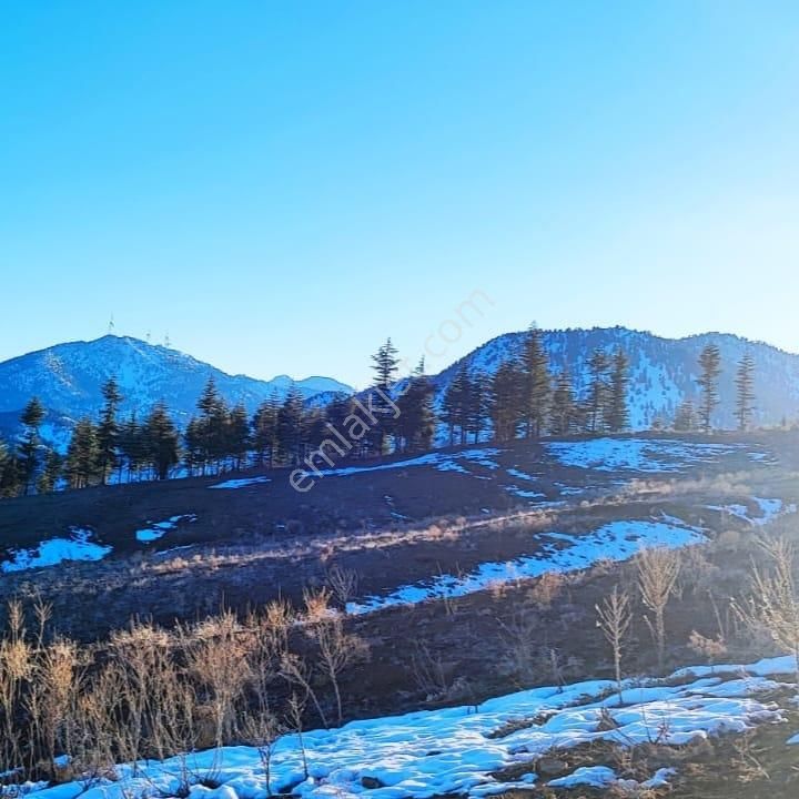 Kar Emlaktan Kamışlı Yaylasında 600m2 Satılık Arsa