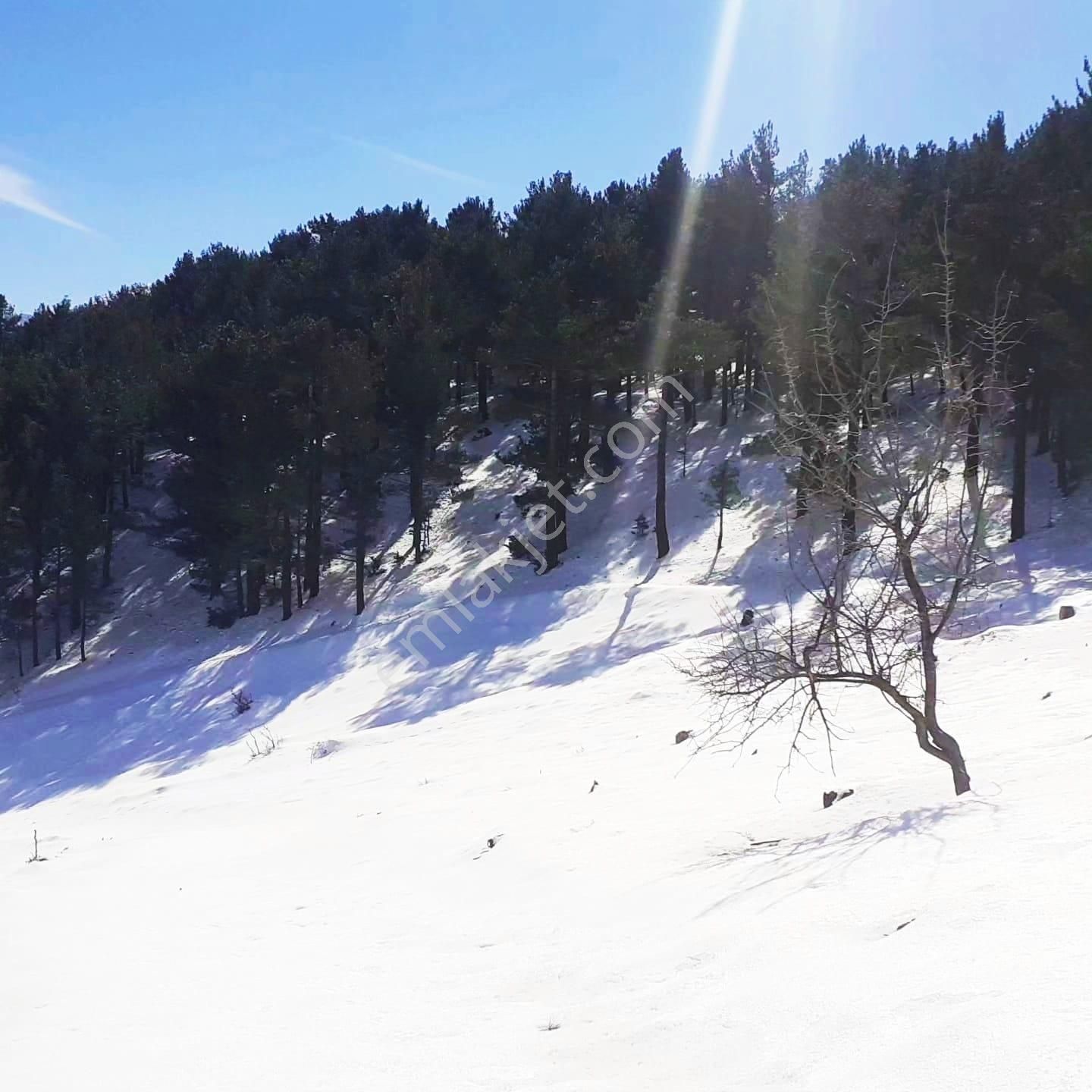 Kar Emlaktan Yenikonacık Bozkırlı Mevkiinde 400 M2 Satılık Arsa - Görsel 13