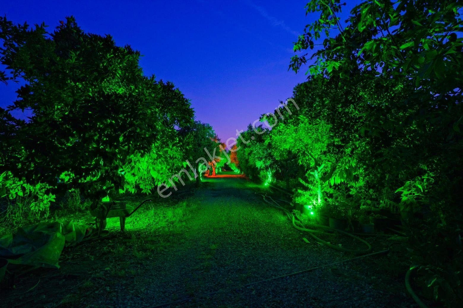 Goldhouse Dan Kiralık Menteşoğlun Da 2+1 Villa - Görsel 4