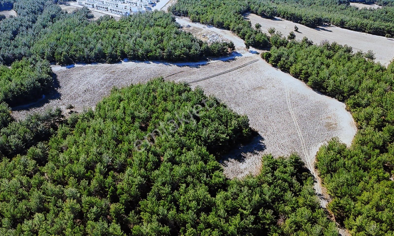 Çanakkale Merkez Çınarlı' Da Satılık Koop. Hisseleri - Görsel 4