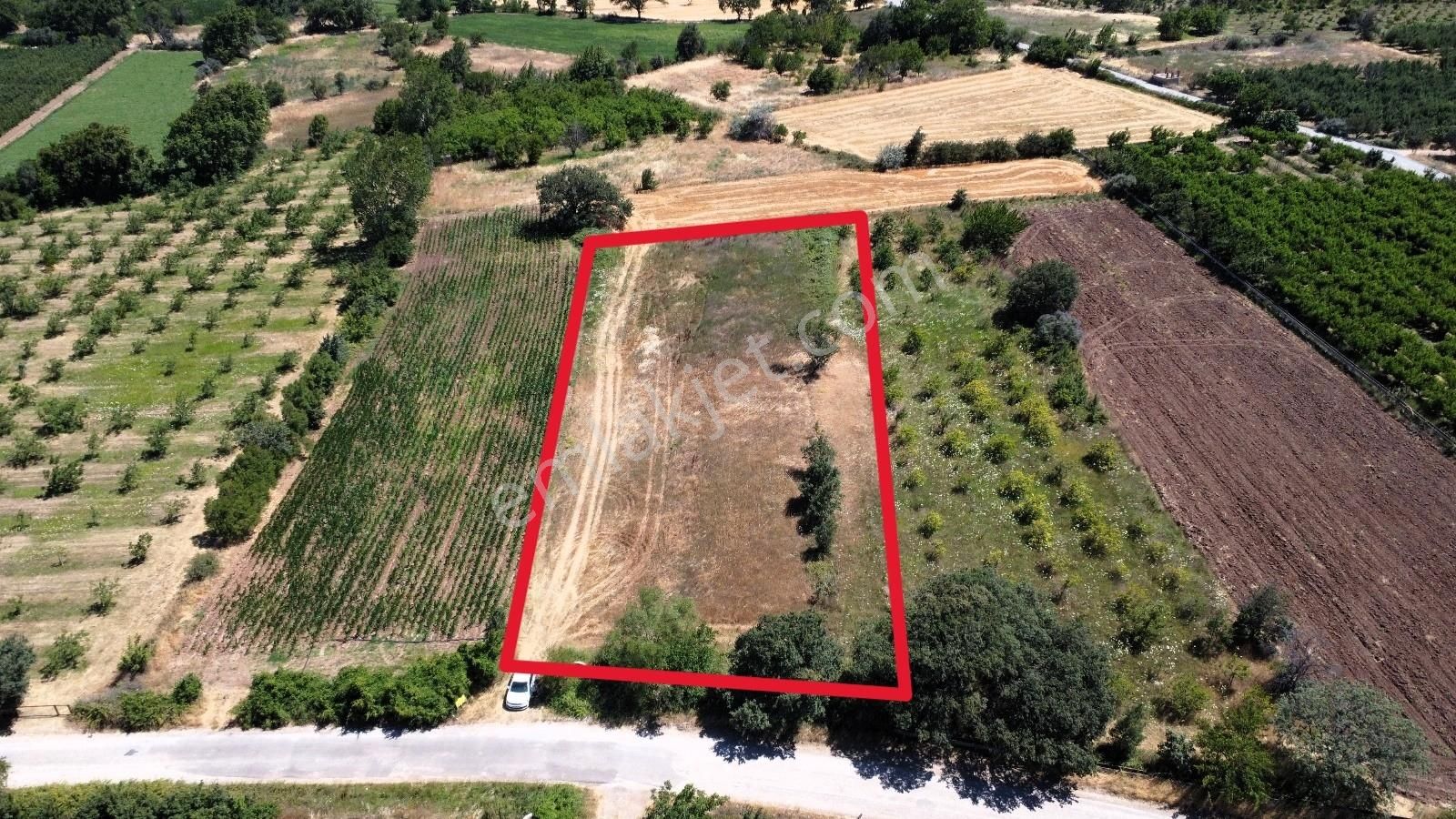 Çanakkale Bayramiç Saçaklı Satılık Tarla