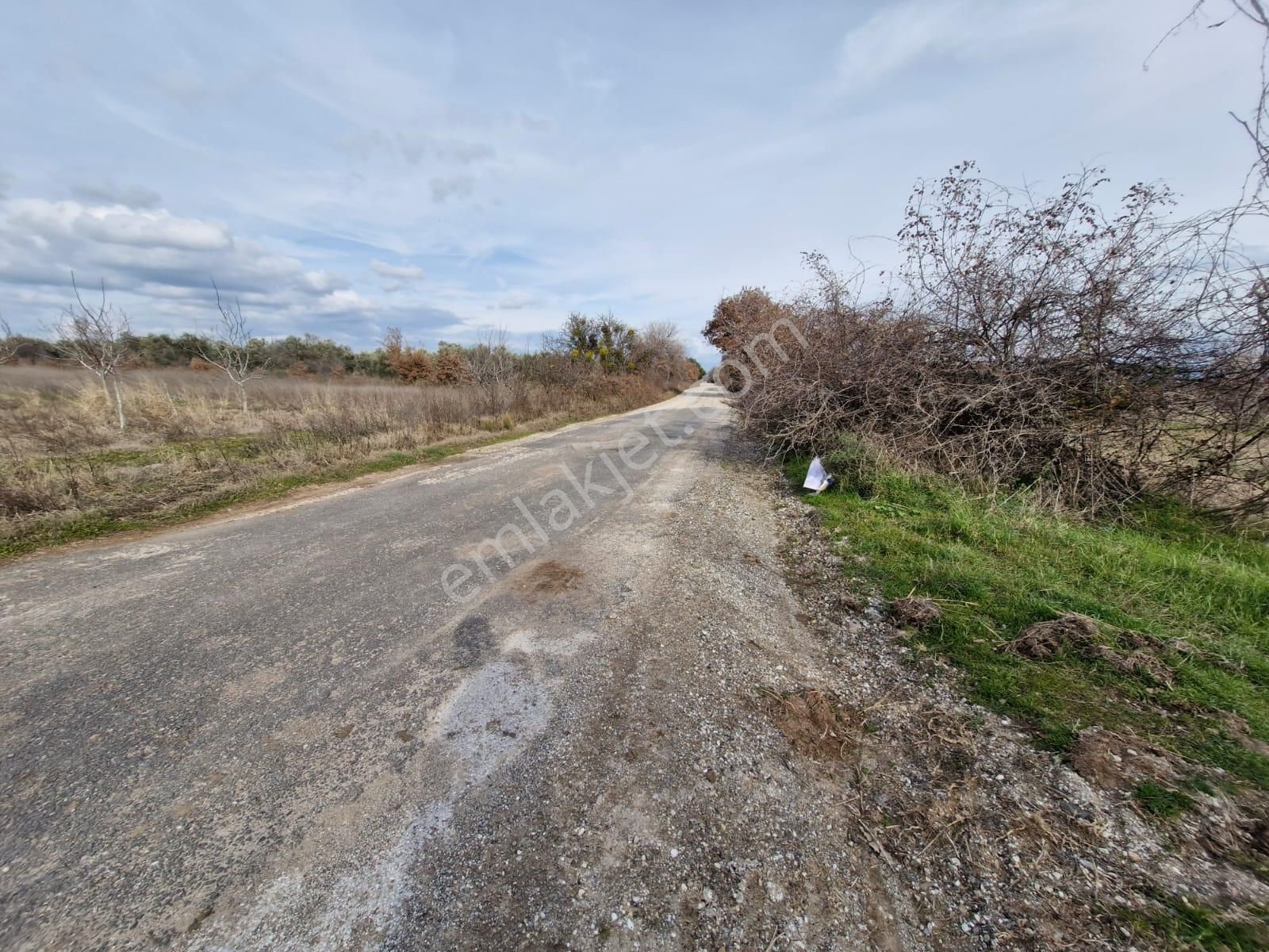 Çanakkale Bayramiç Saçaklı Satılık Tarla - Görsel 15