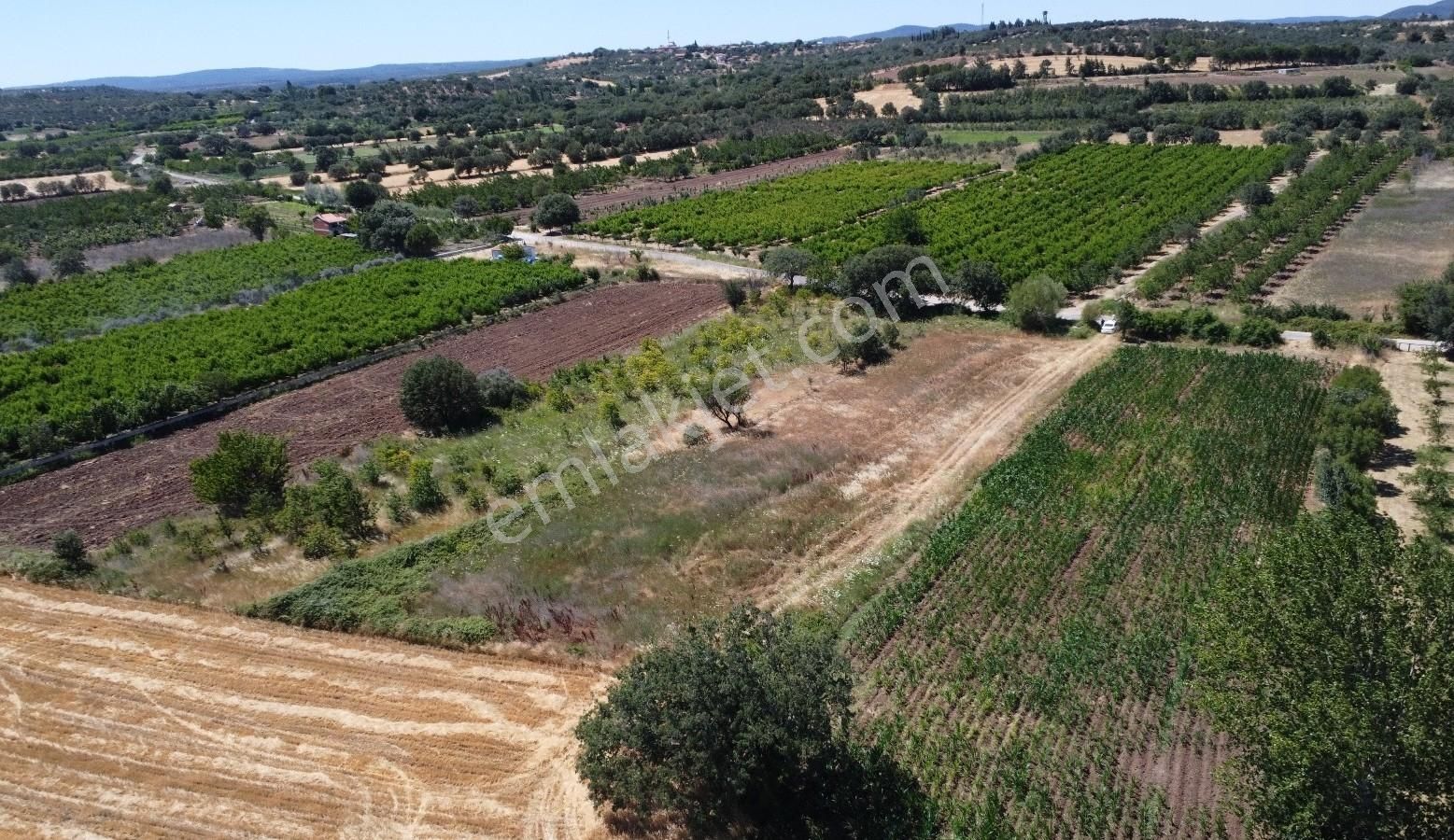 Çanakkale Bayramiç Saçaklı Satılık Tarla - Görsel 11