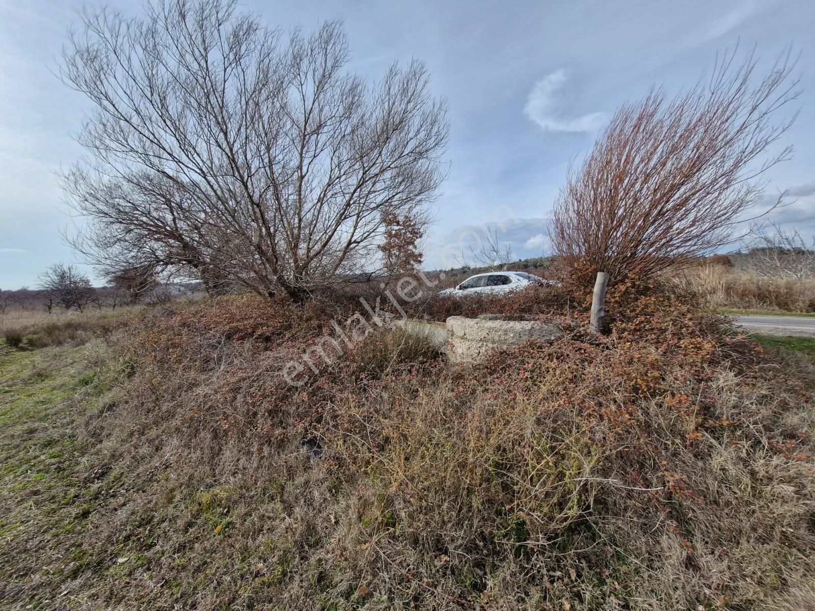 Çanakkale Bayramiç Saçaklı Satılık Tarla - Görsel 14