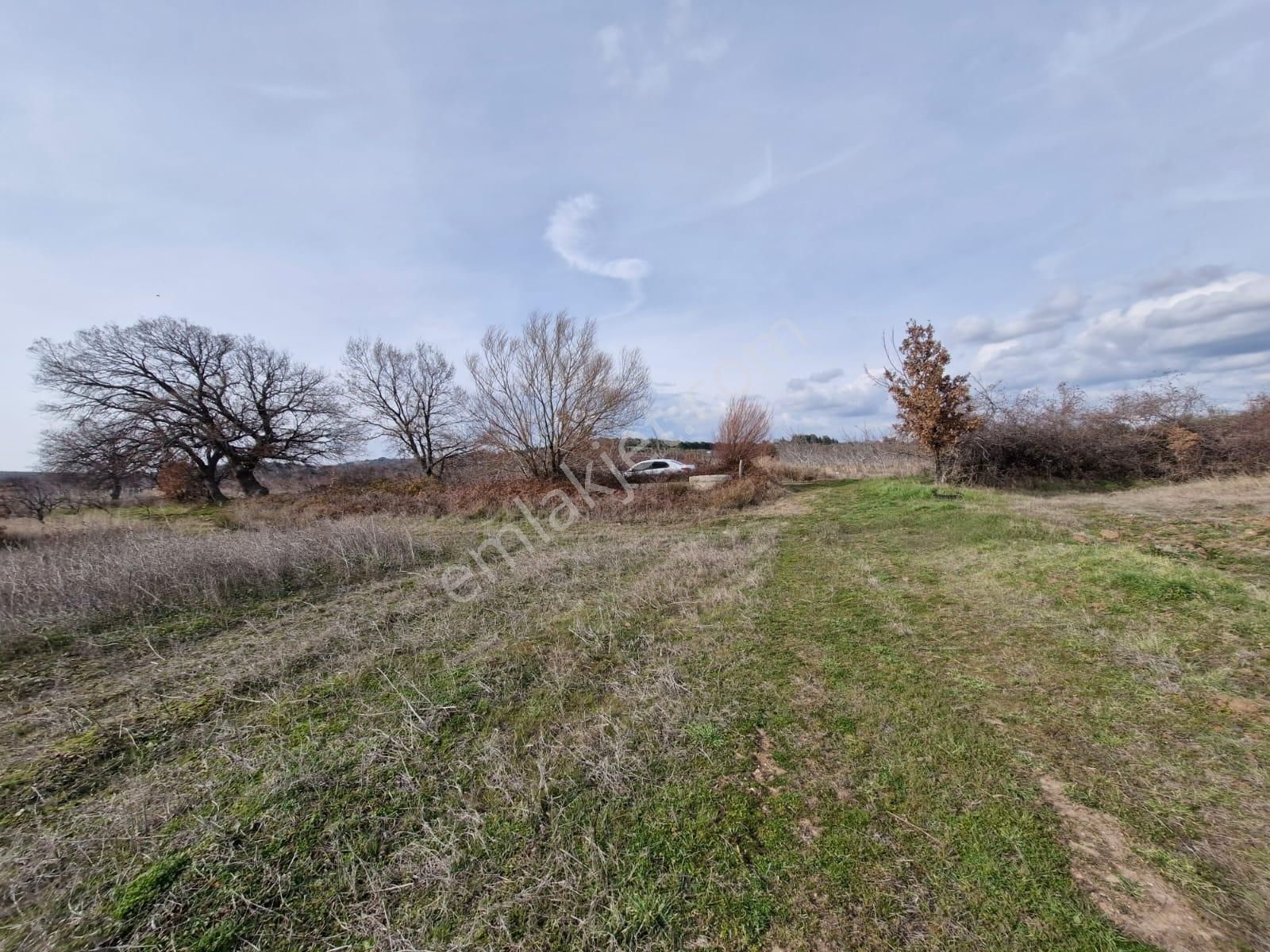 Çanakkale Bayramiç Saçaklı Satılık Tarla - Görsel 4