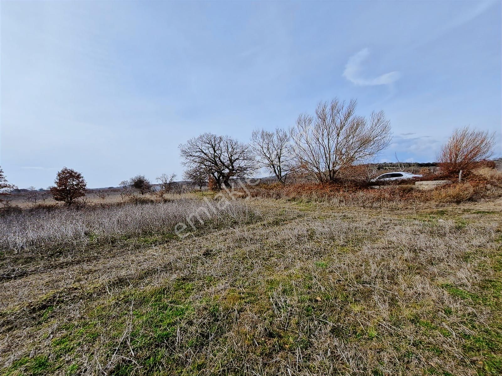 Çanakkale Bayramiç Saçaklı Satılık Tarla - Görsel 13