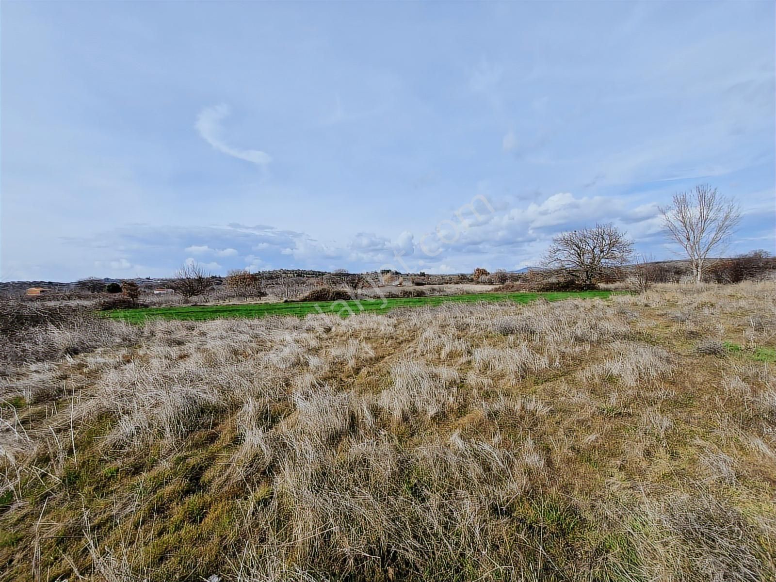 Çanakkale Bayramiç Saçaklı Satılık Tarla - Görsel 16