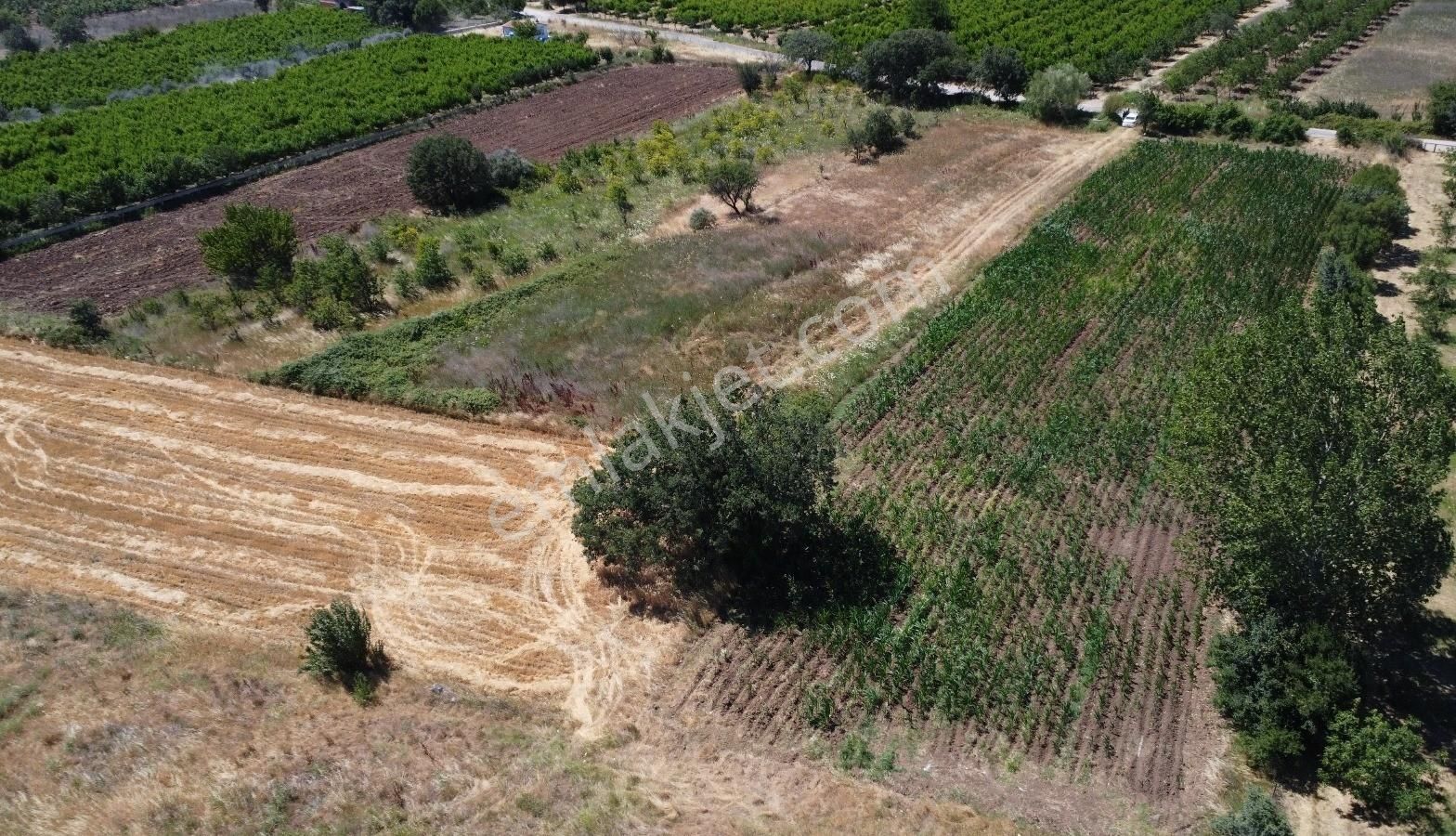 Çanakkale Bayramiç Saçaklı Satılık Tarla - Görsel 3